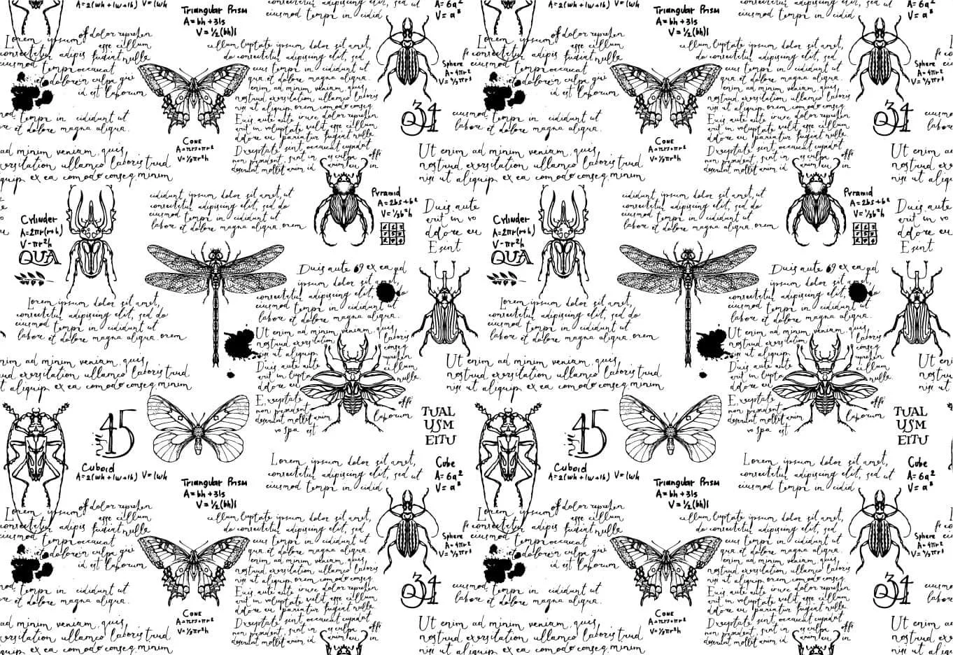 Bugs+in+Script_compressed.jpg