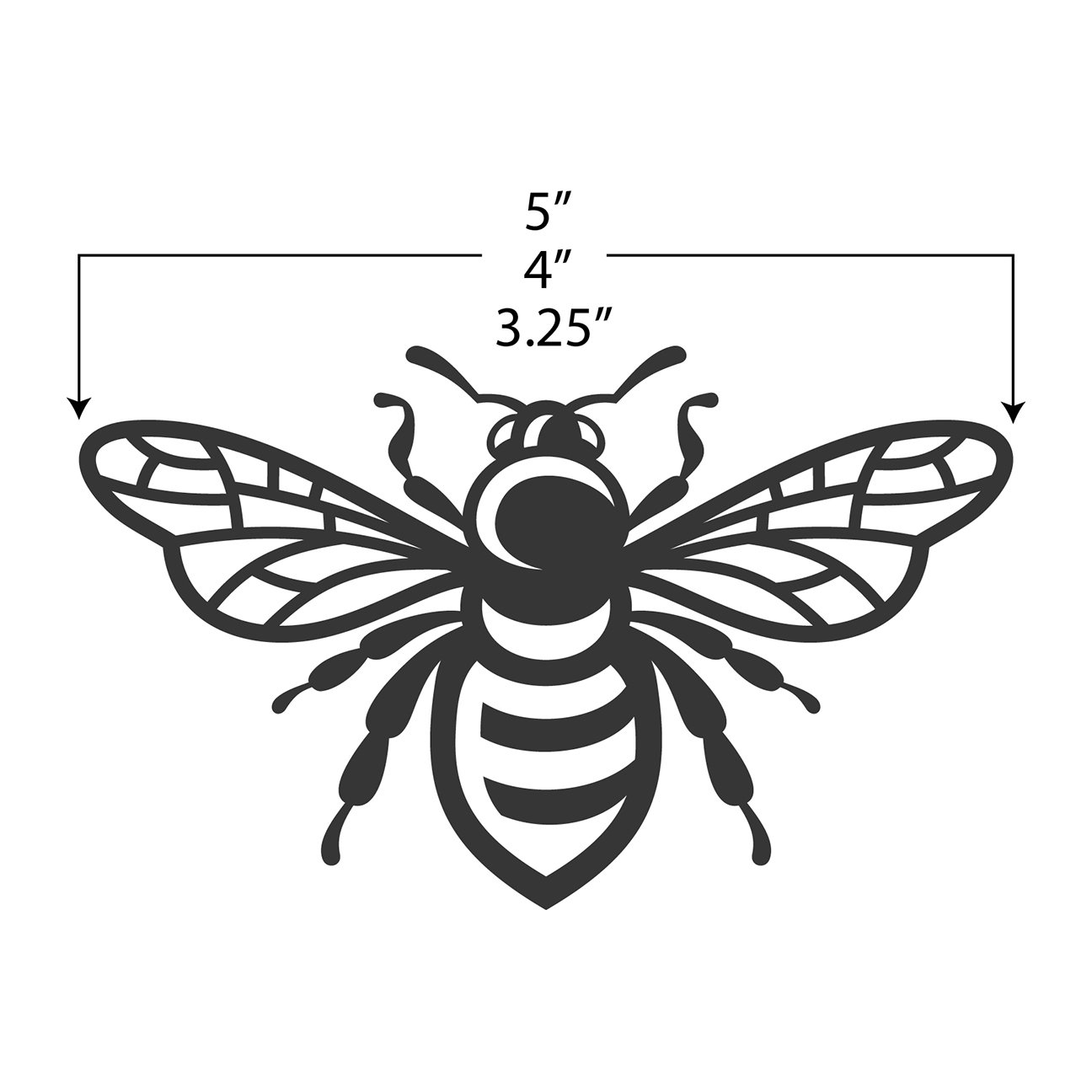 Bee with measurements.jpg