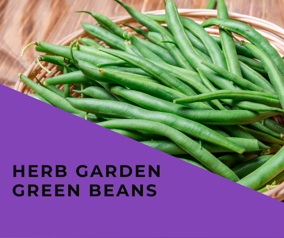 Herb Garden Green Beans