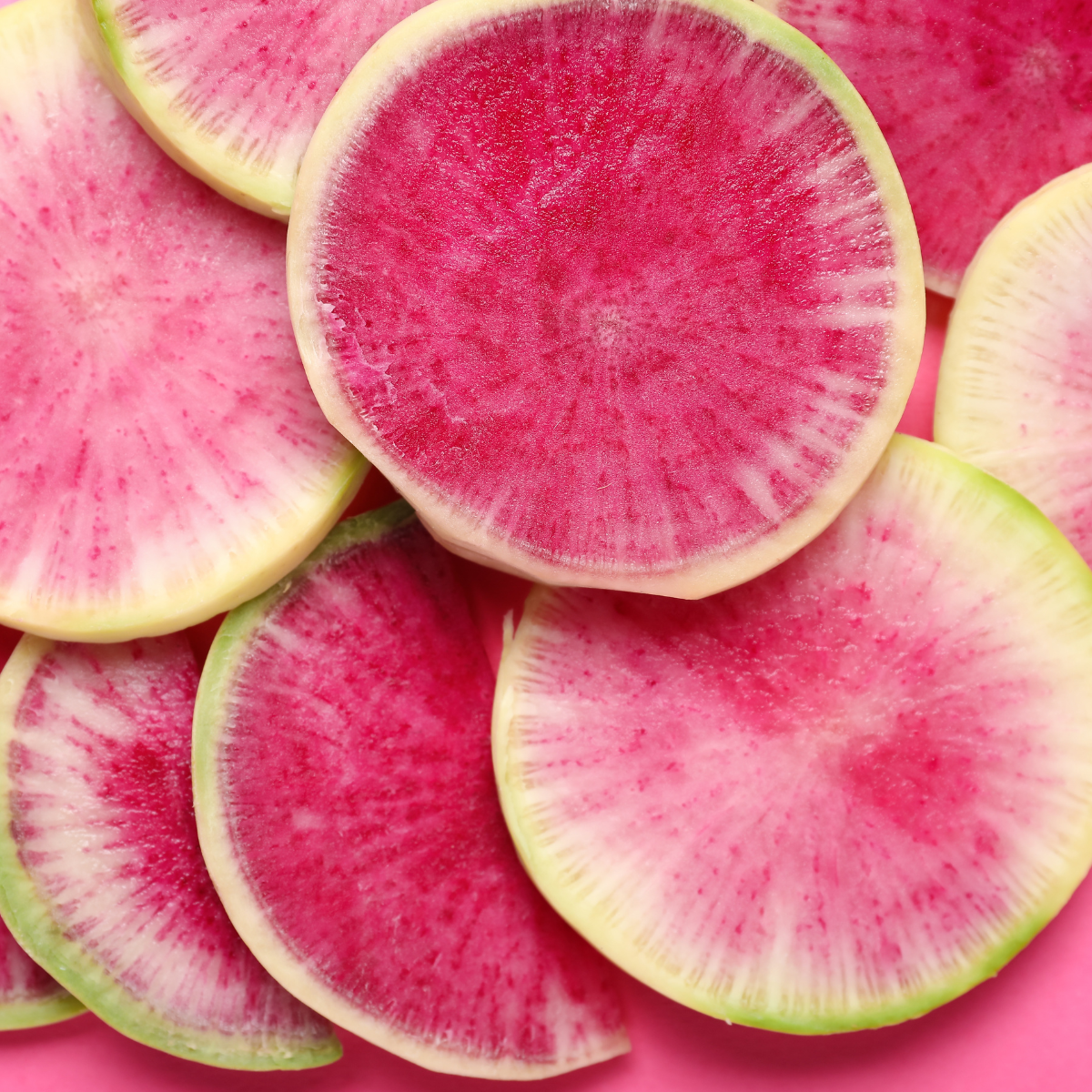 Watermelon Radish