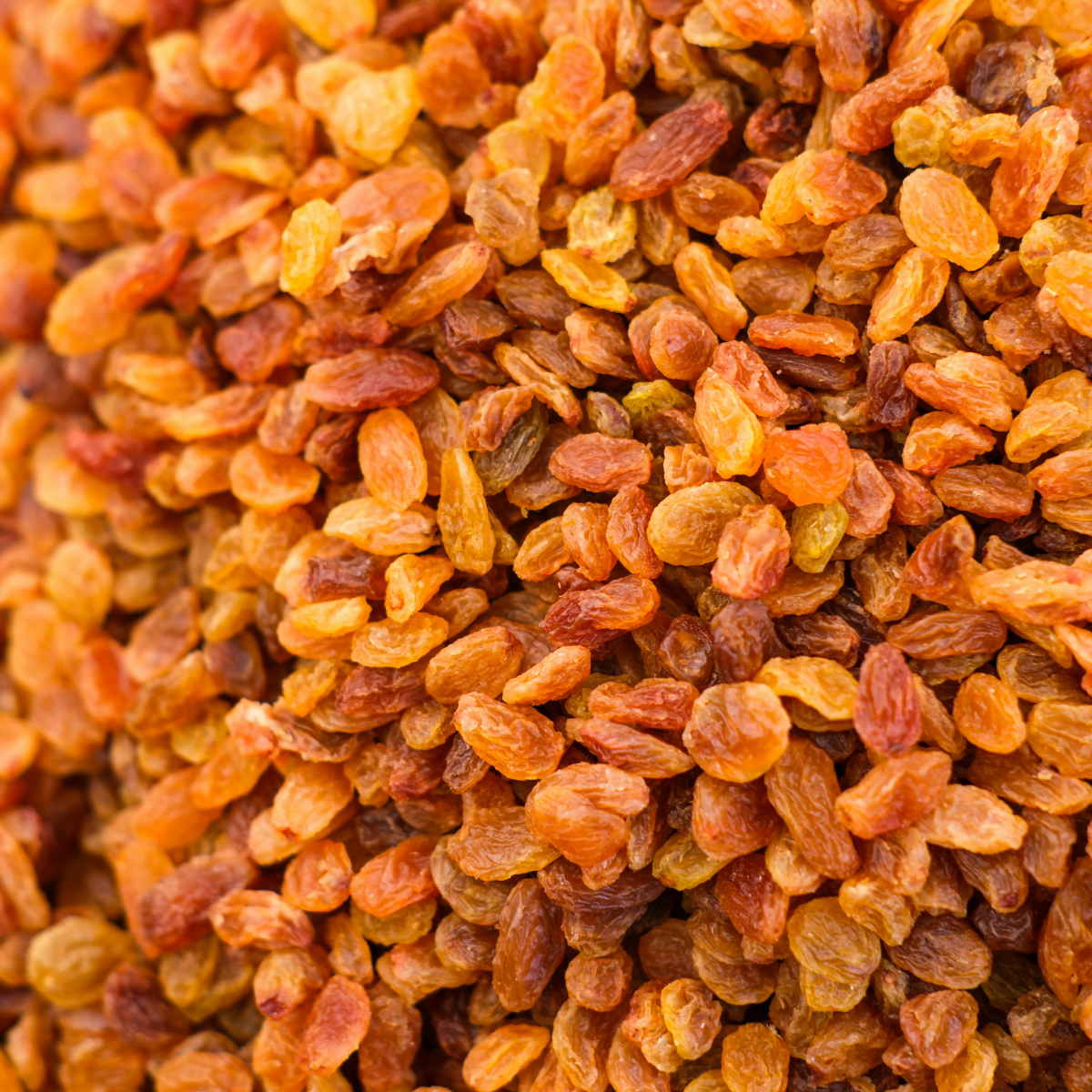 Raisins (multicolor)