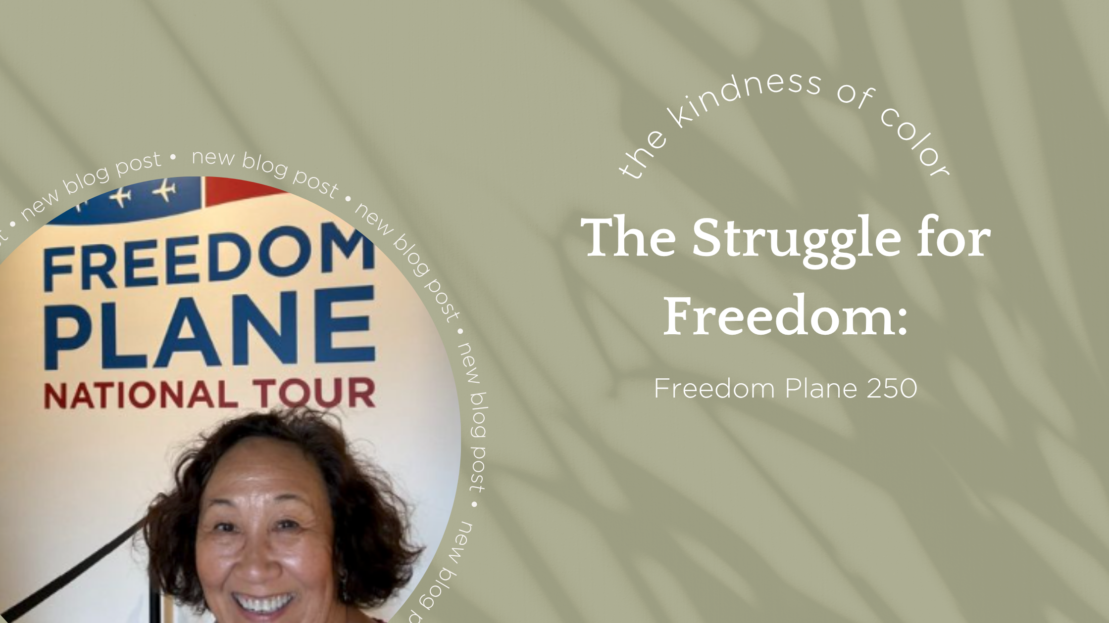 The Struggle for Freedom: Freedom Plane 250
