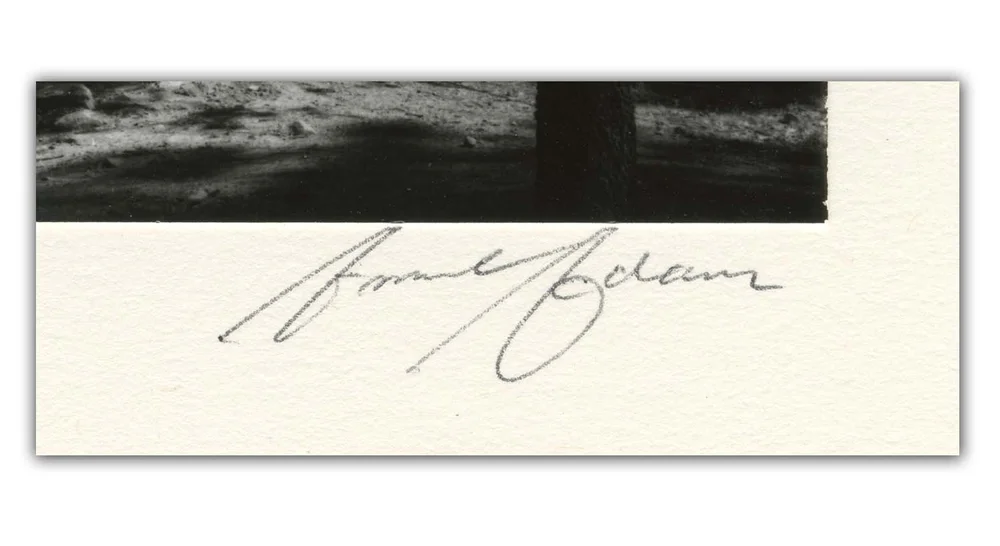 How to Sign a Print — Tracy Lizotte Studios