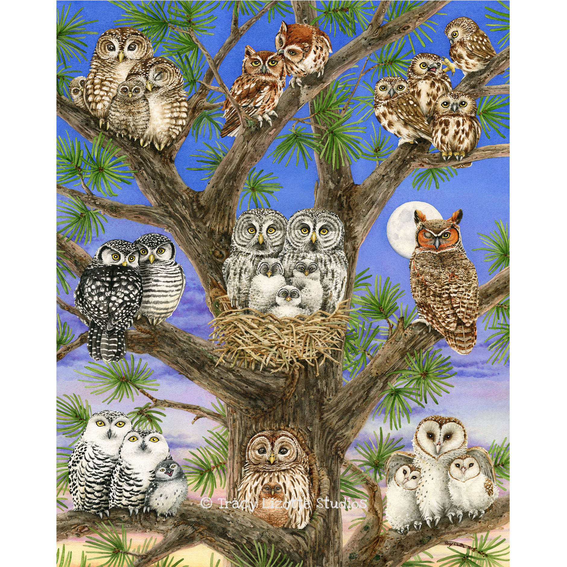 Рисунки сова на дереве
