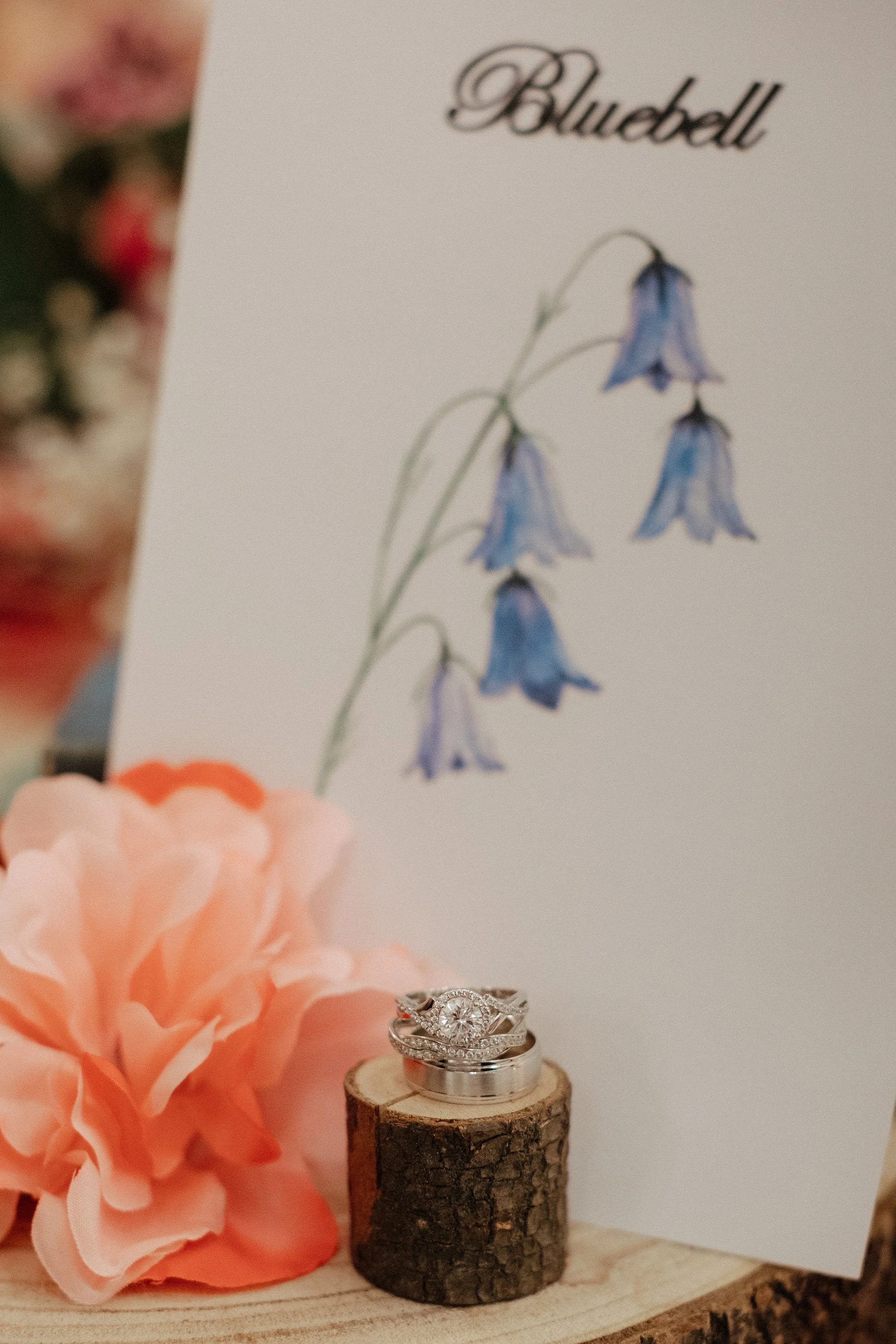 Georgina & Mark-549.jpg