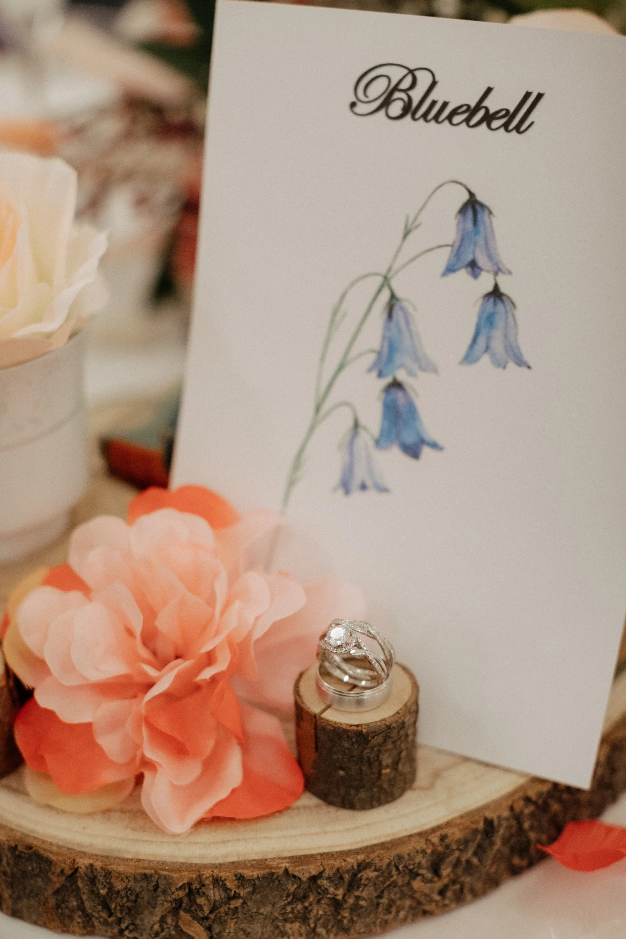 Georgina & Mark-547.jpg