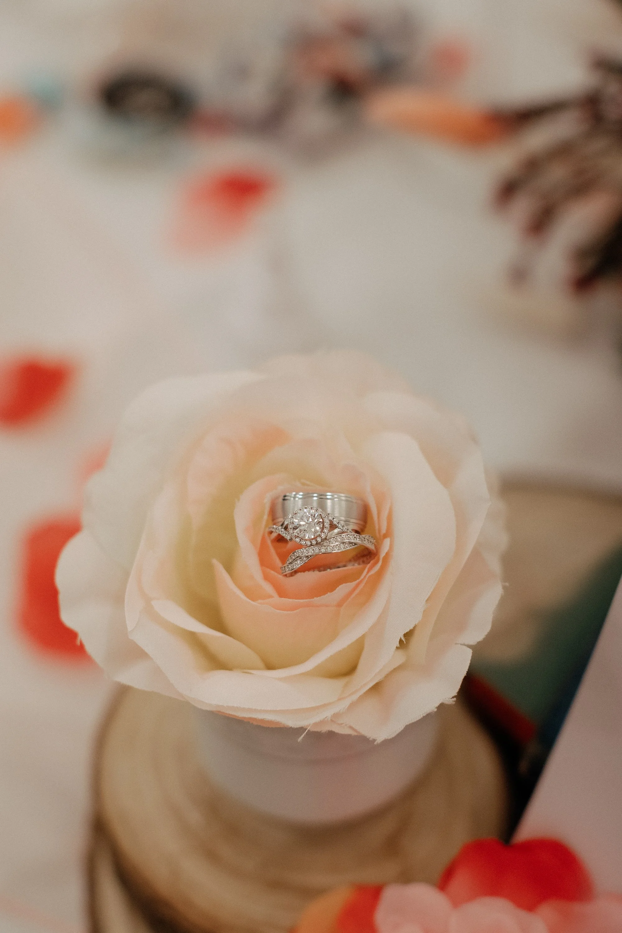 Georgina & Mark-548.jpg