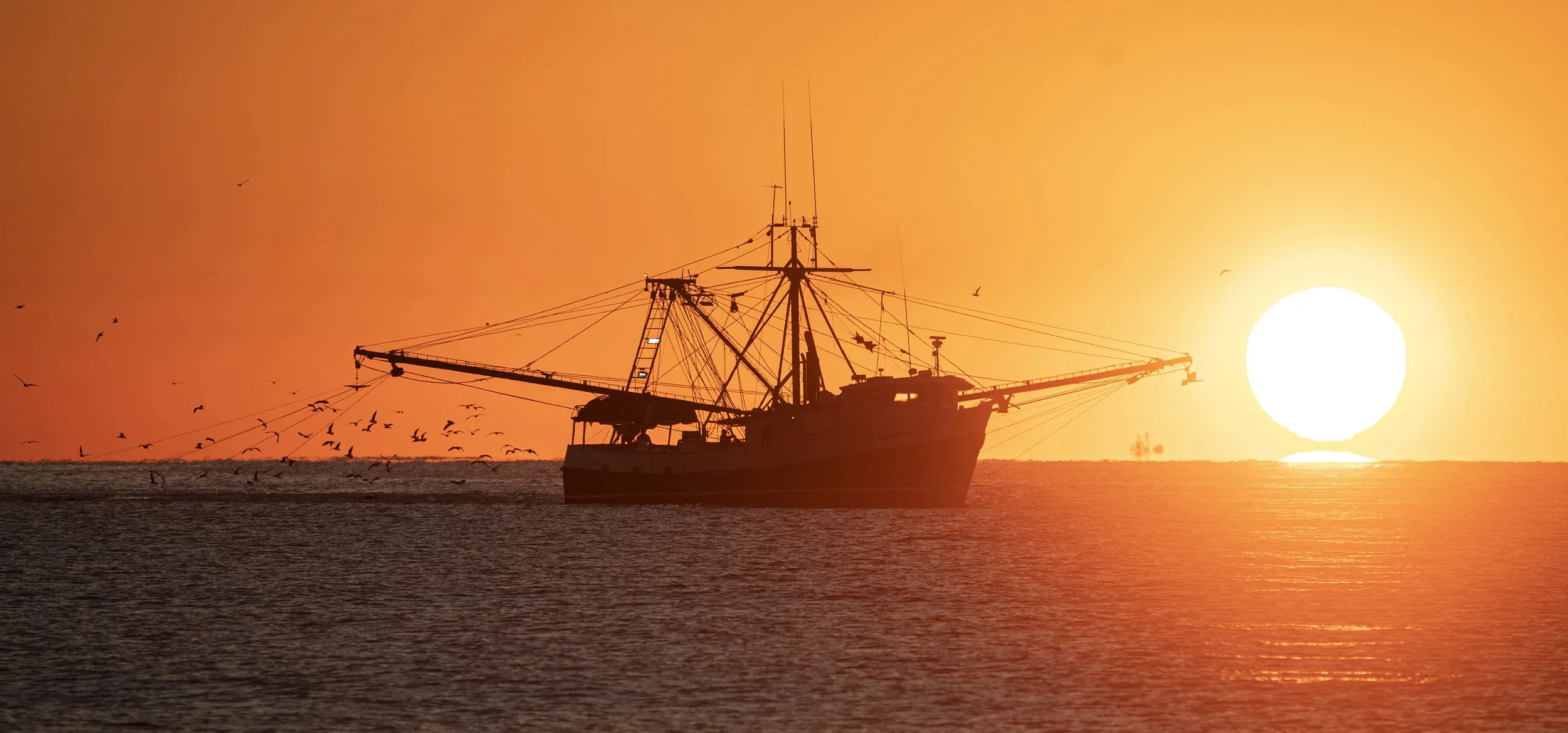 L90 Edisto Beach Shrimp'n
