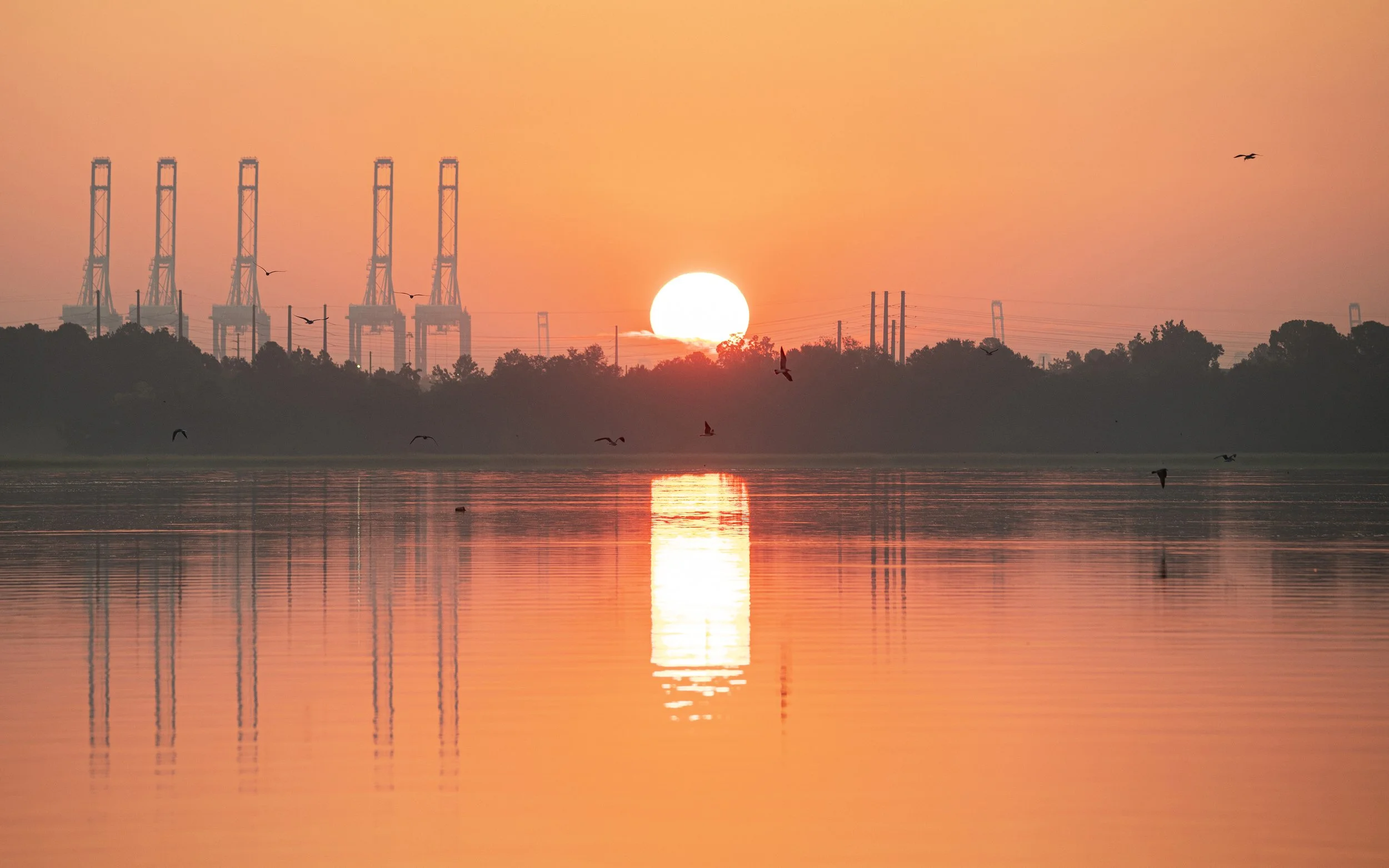 L89 Ashley River Sunrise