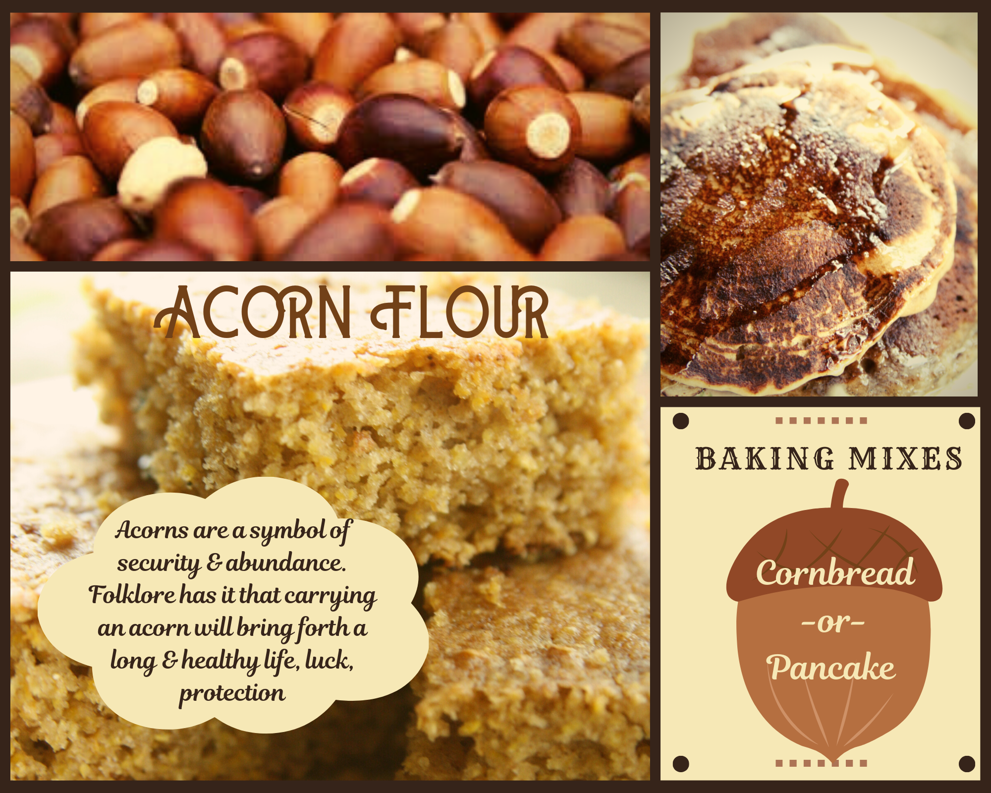 Copy of Copy of Acorn.png