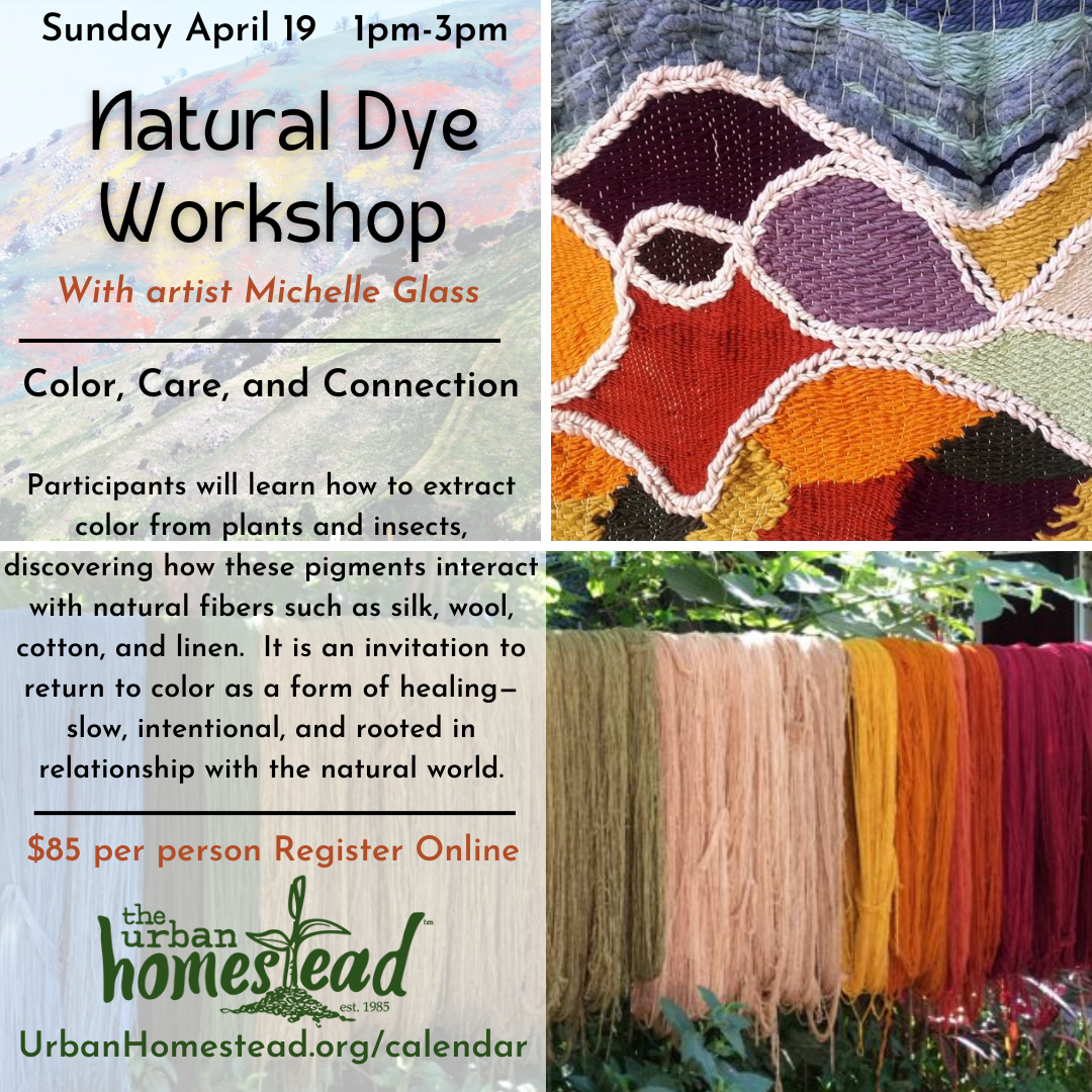 NATURAL DYE WORKSHOP