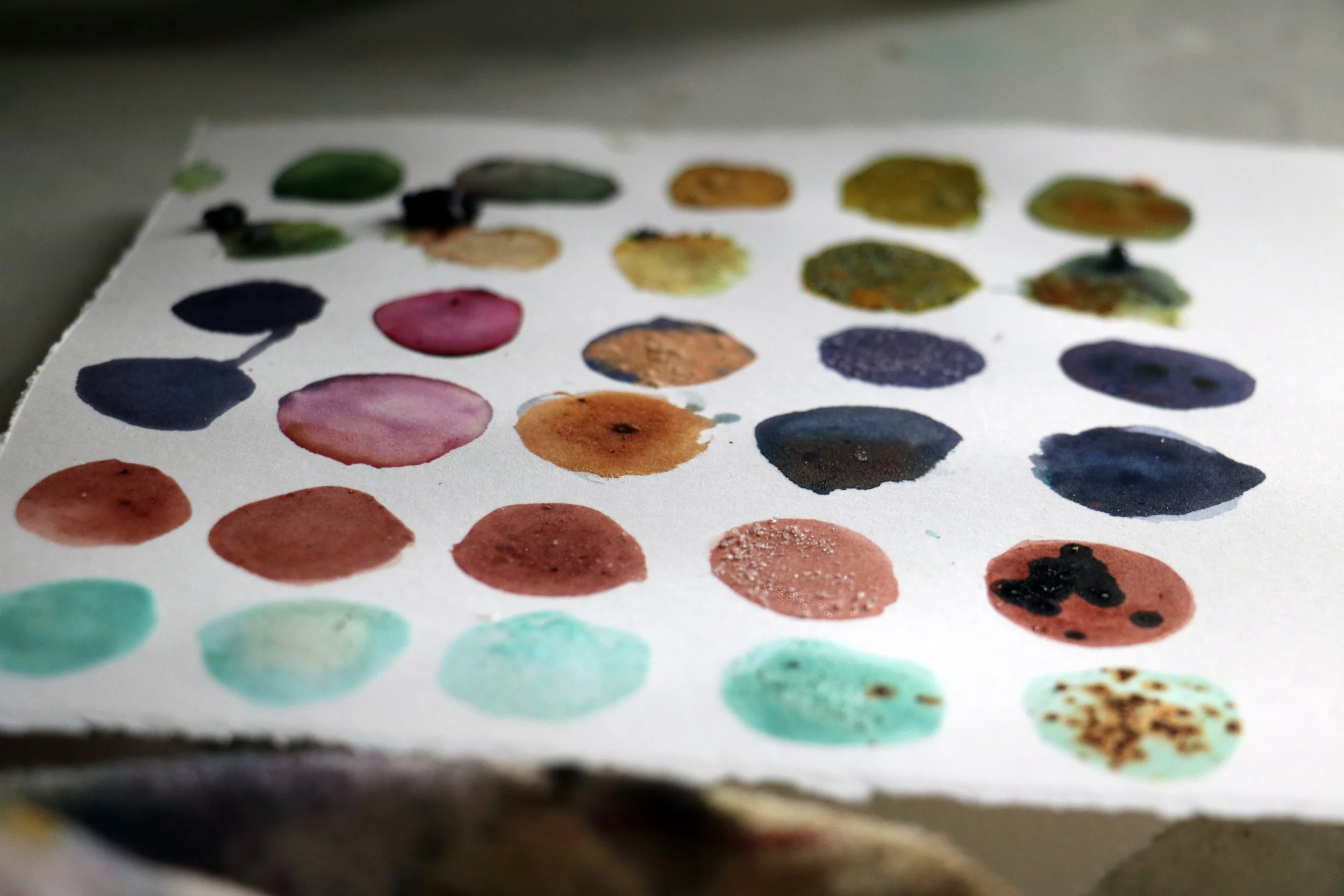 AVOCADO INK — Gabrielle Eisma