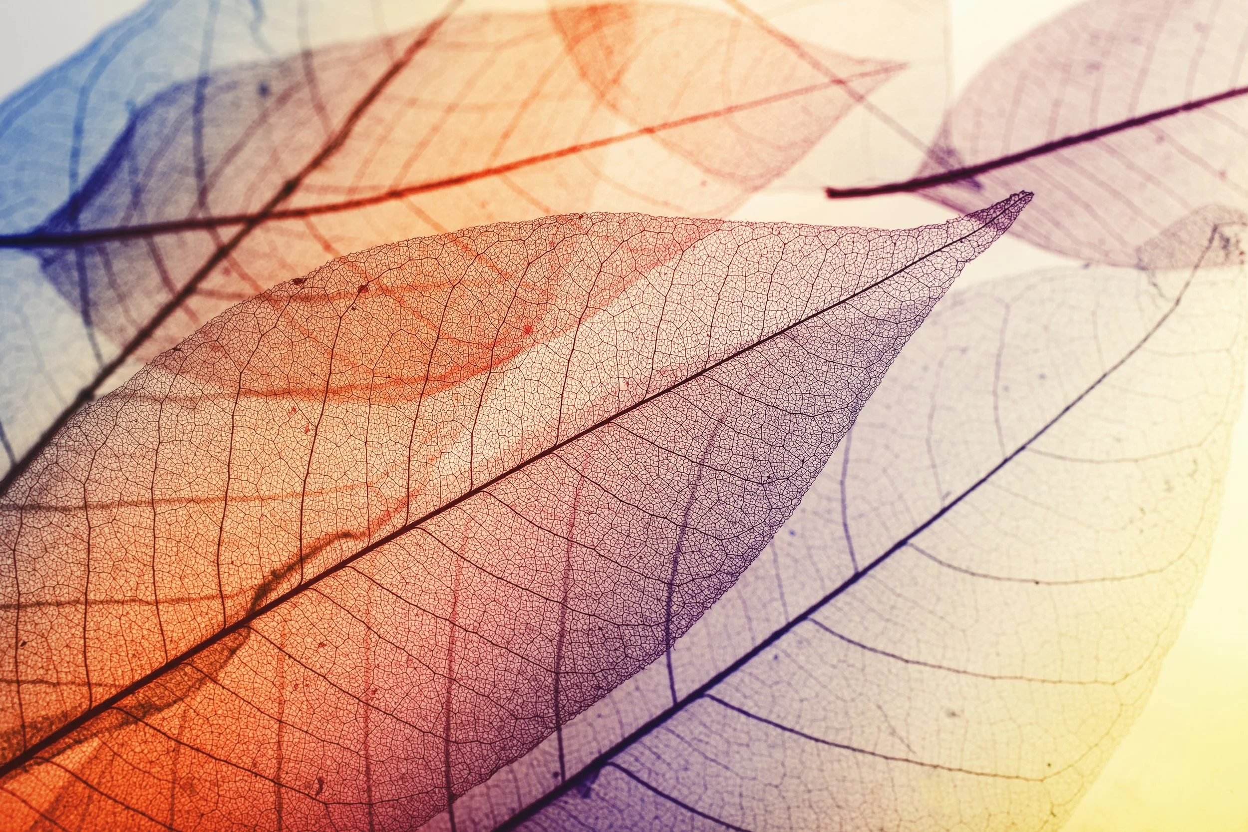 PLAN FOR GROWTH EFFECTIVELY