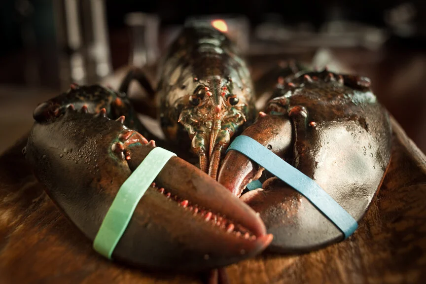 Reservations — Cork & Bull Chophouse
