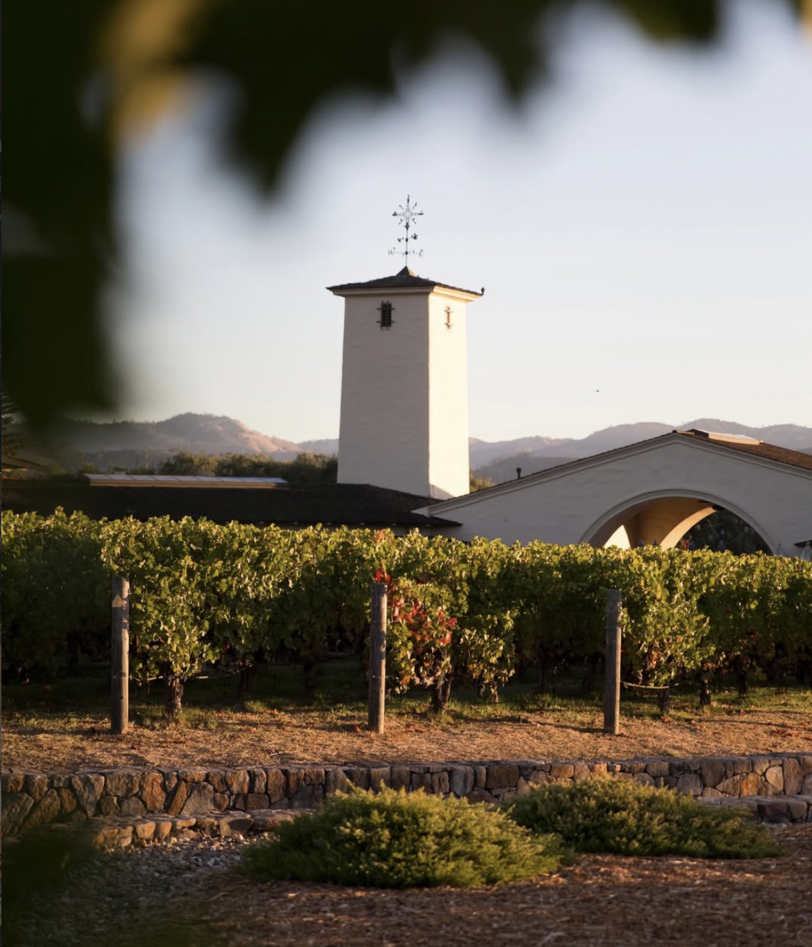 Pop-Up Wine tasting with Robert Mondavi