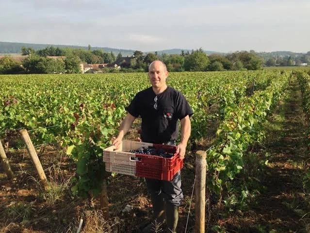 Michael Shaps Pop-Up Wine Tasting