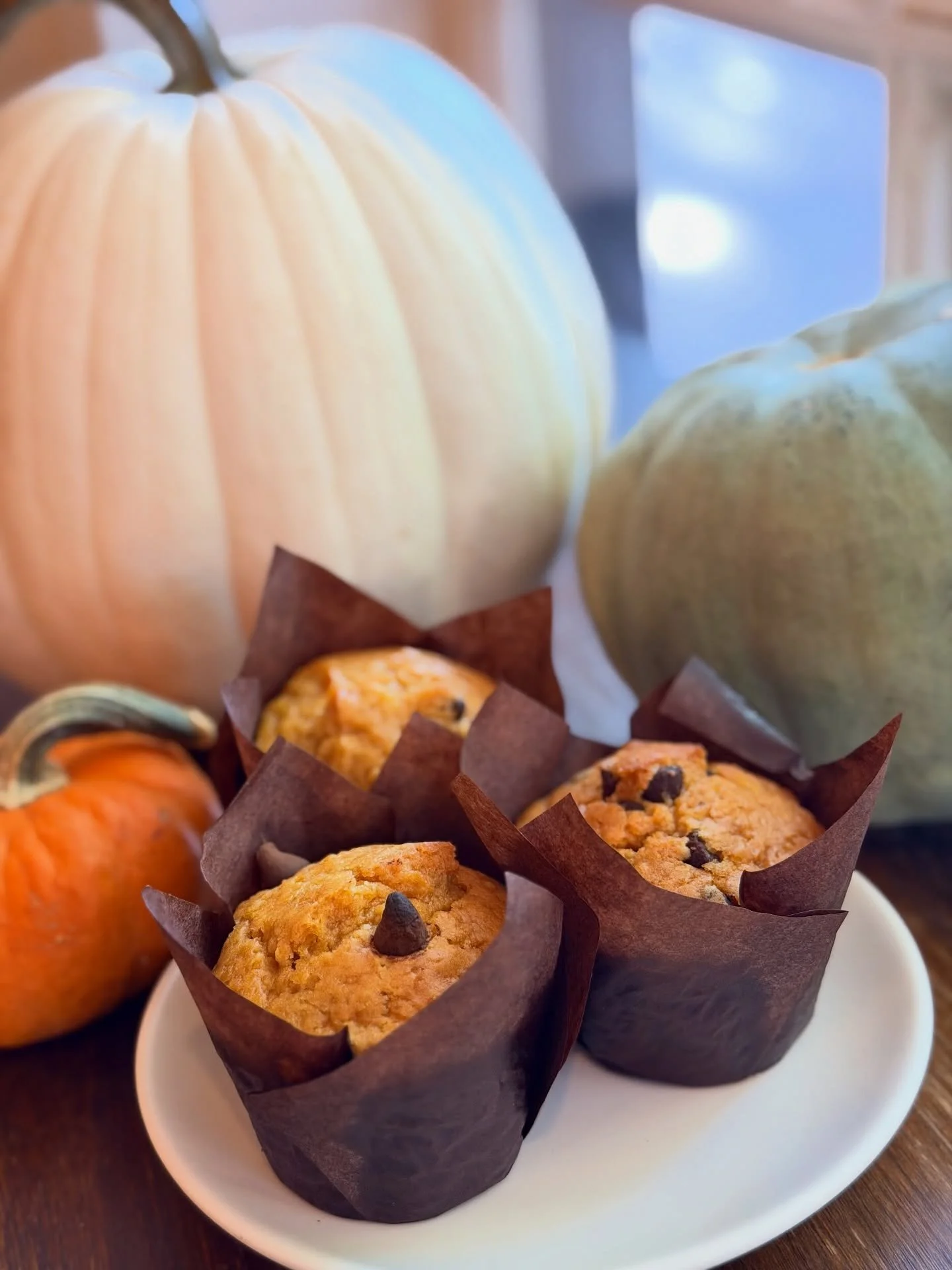 🆕 🆕 🆕 pumpkin chocolate chip muffins from @withcarrington !