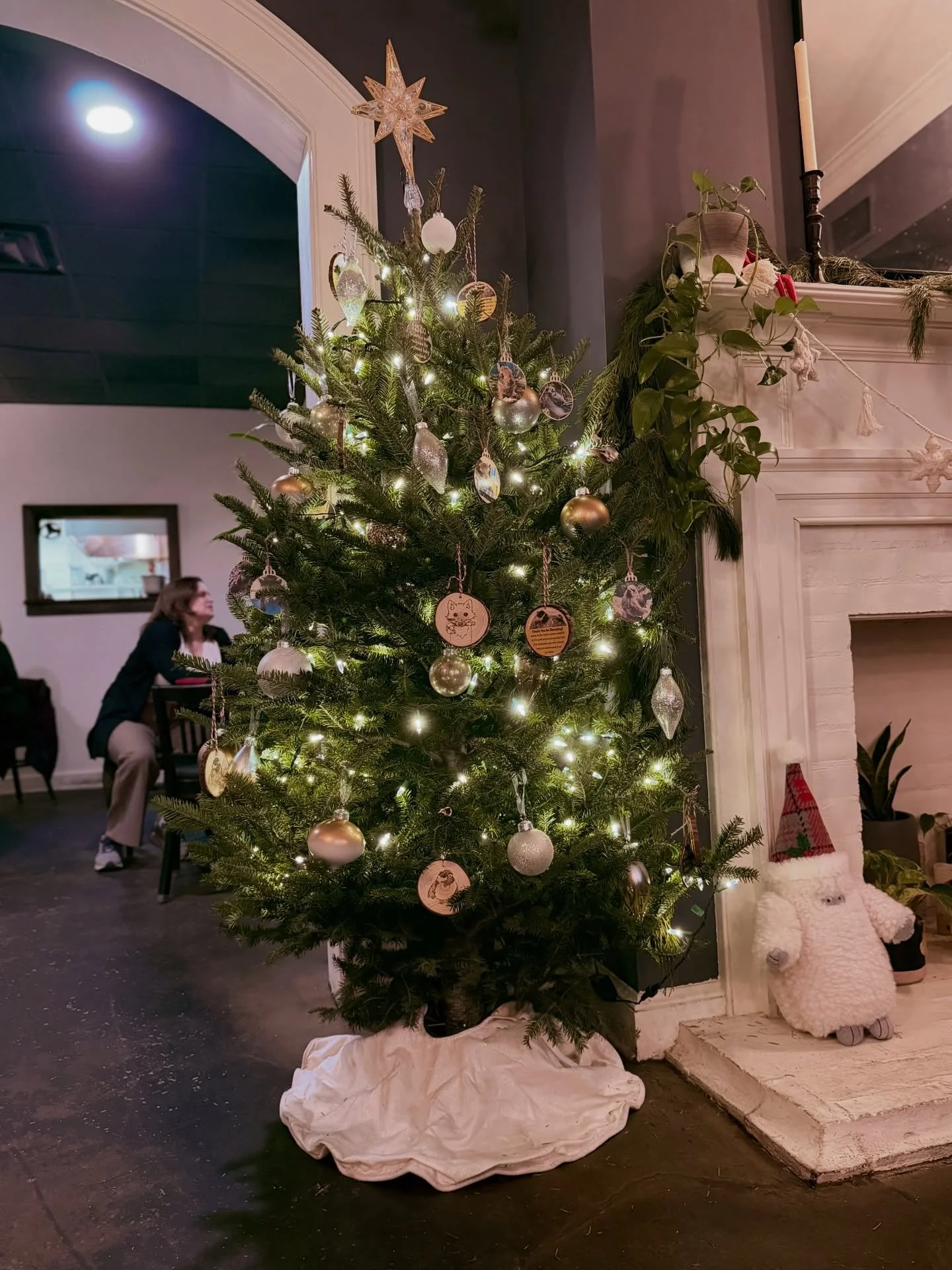 So excited to team up with @rockfishwildlifesanctuary on our Giving Tree! 🎄 100% of the ornament proceeds go straight to Rockfish to help locally rescued critters like rescued turtles with damaged shells, vultures that have been imprinted, or baby r