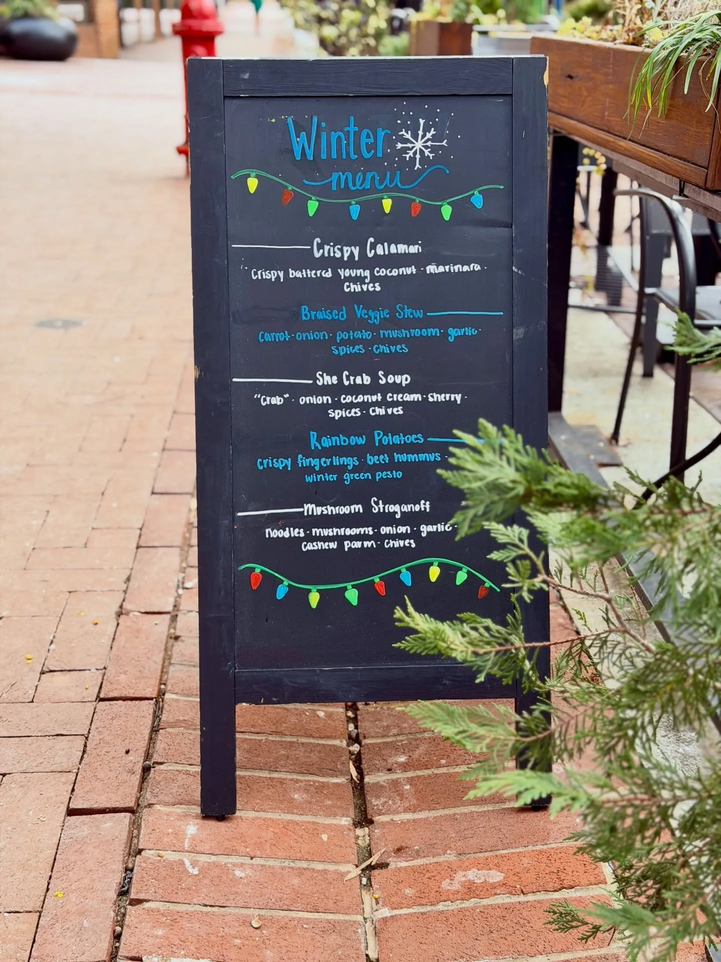 WINTER SIGN! (free coffee bev for whoever comments our error first 🙈)