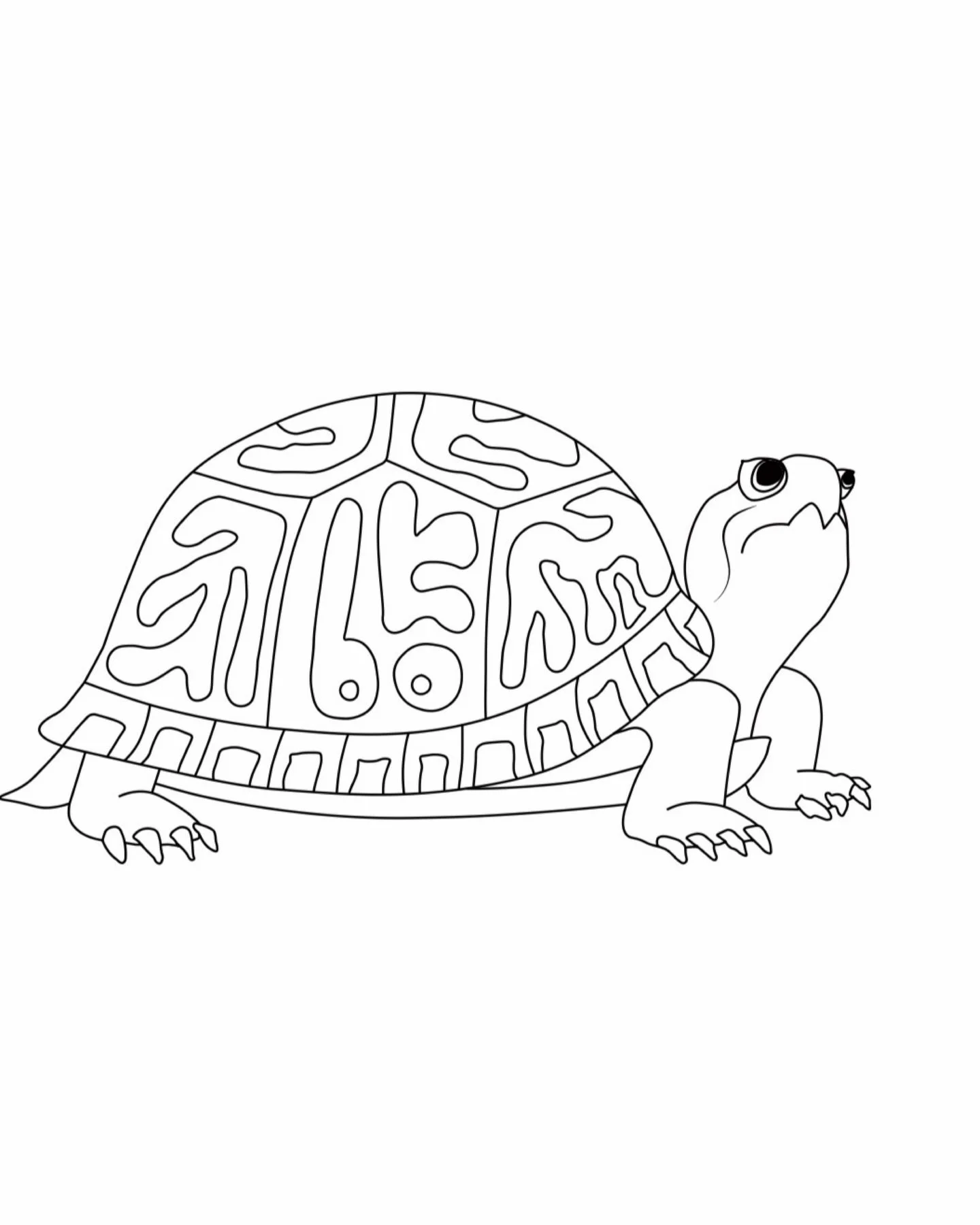 2026 is bringing something new for Botanical ✨

We are so excited to announce our brand new mascot-Bo the Box Turtle.  She was designed by the talented @kaytaybacon and brought to life by our favorite in house artists @torileighstudio .  Be on the lo