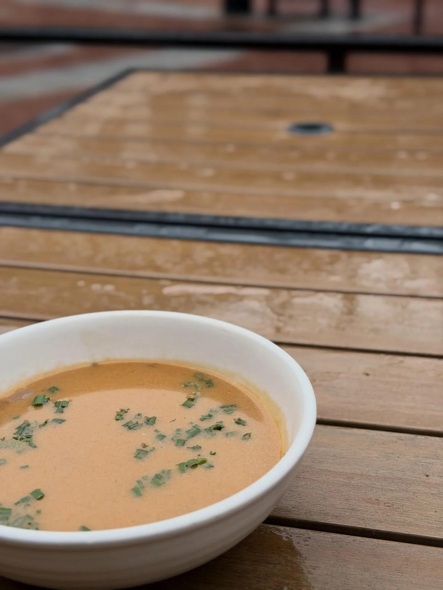 vegan she-crab soup comfort on a rainy day 🌧️ break out those raincoats ☔️