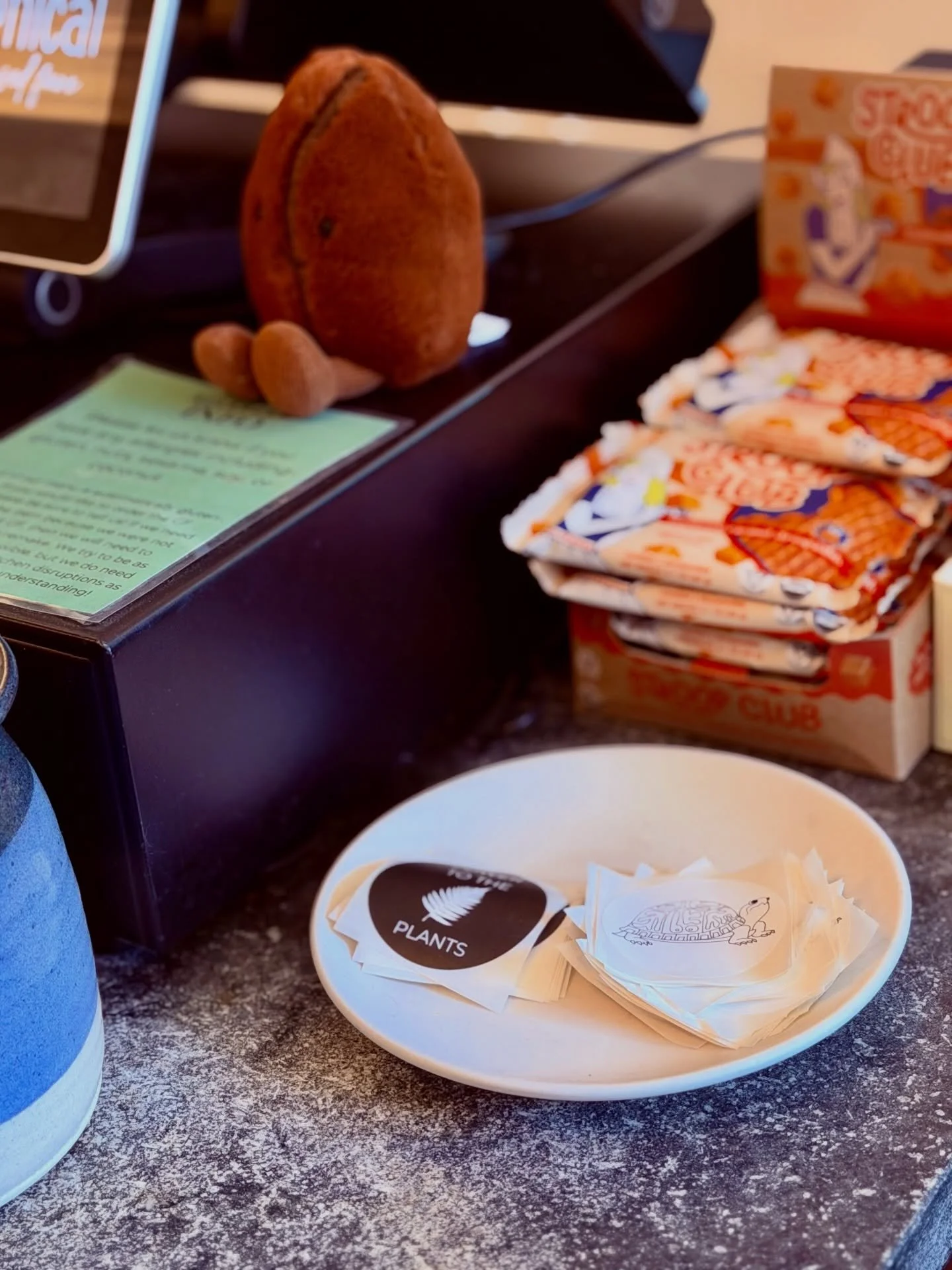 Bo The Box Turtle, you will always be famous 🐢 new Botanical stickers at the register, come grab 1