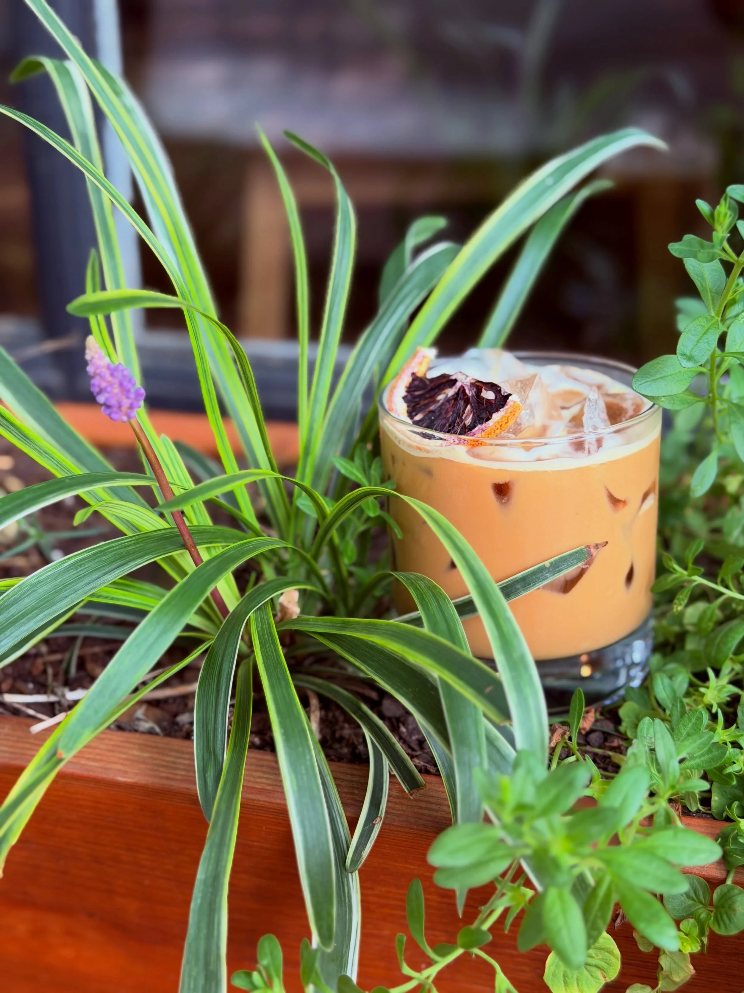 1 week left of our summer menu 😭 (muddled + shaken orange latte)

summer menu 26, you will always be famous 🫡 (BBQ PITA)

Bye summer menu, last week for it (lavender blossom latte)

Only 1 week of enjoying this salad left (southwest chipotle salad)