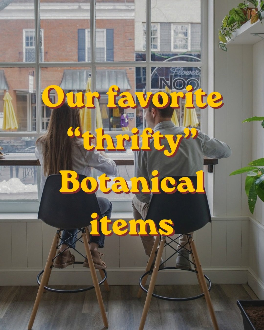 There has been a lot of talk lately about needing to save money, spend less on going out, and being more disciplined with finances, which got me thinking about which of our items are the best deal. Here are my favorite kitchen items that are only $8 