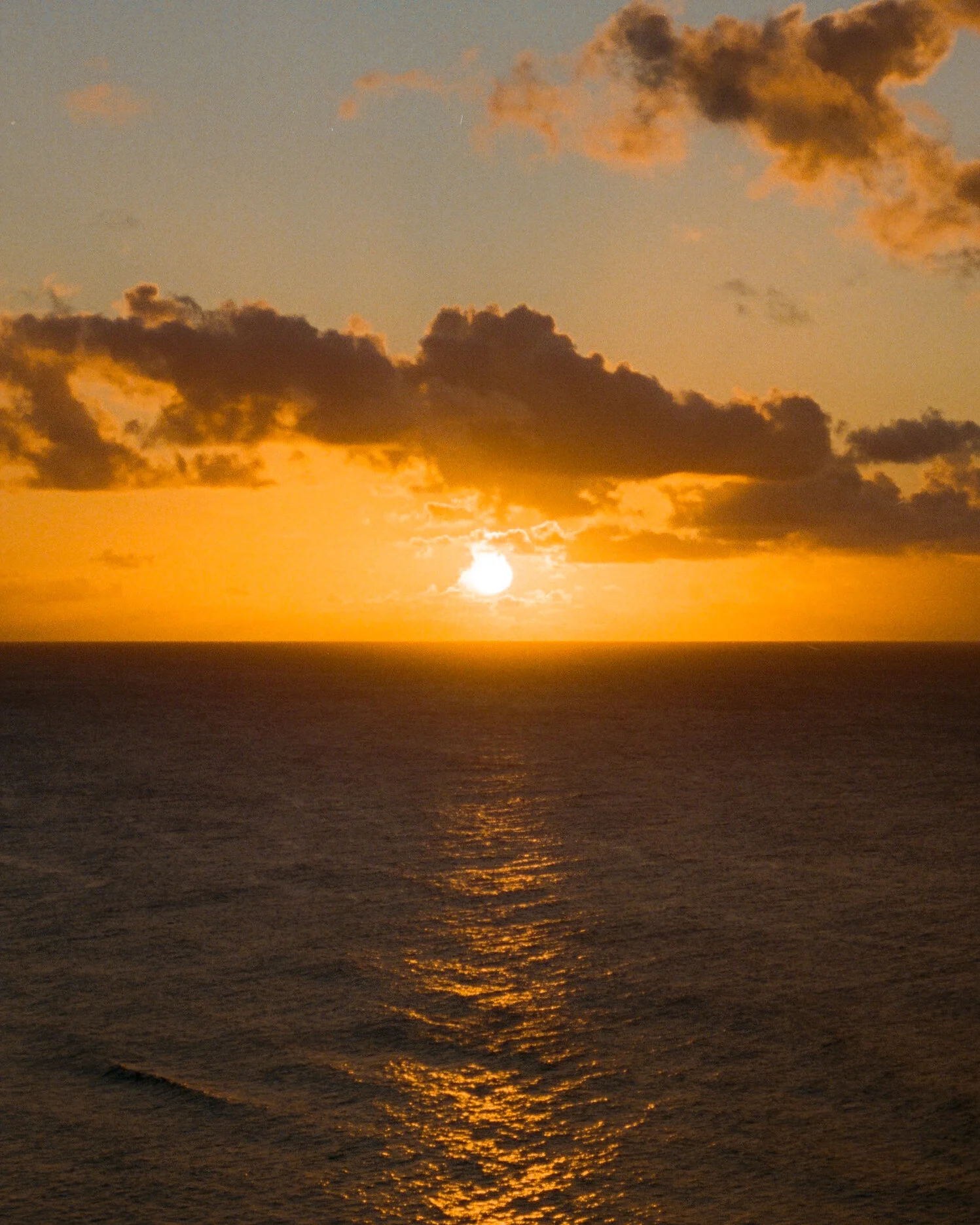 0033_5-2.jpg