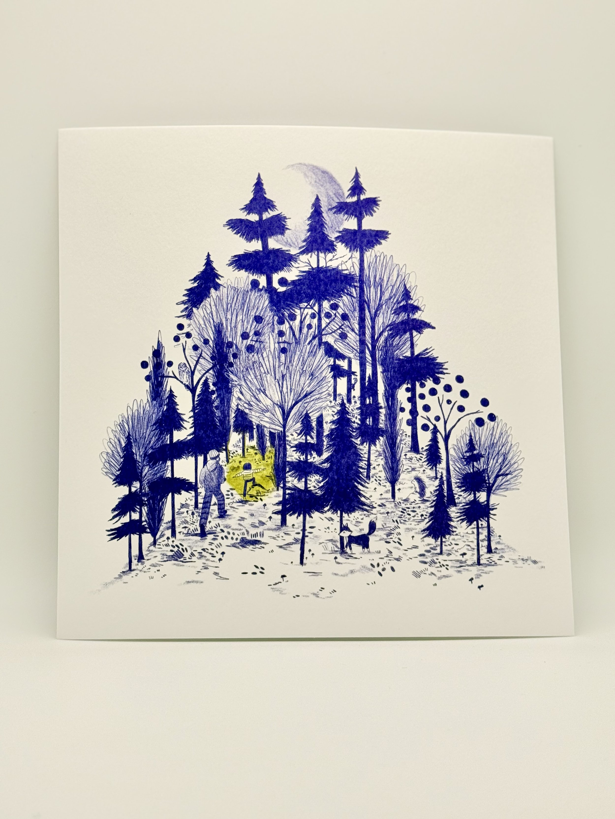 a walk in the woods