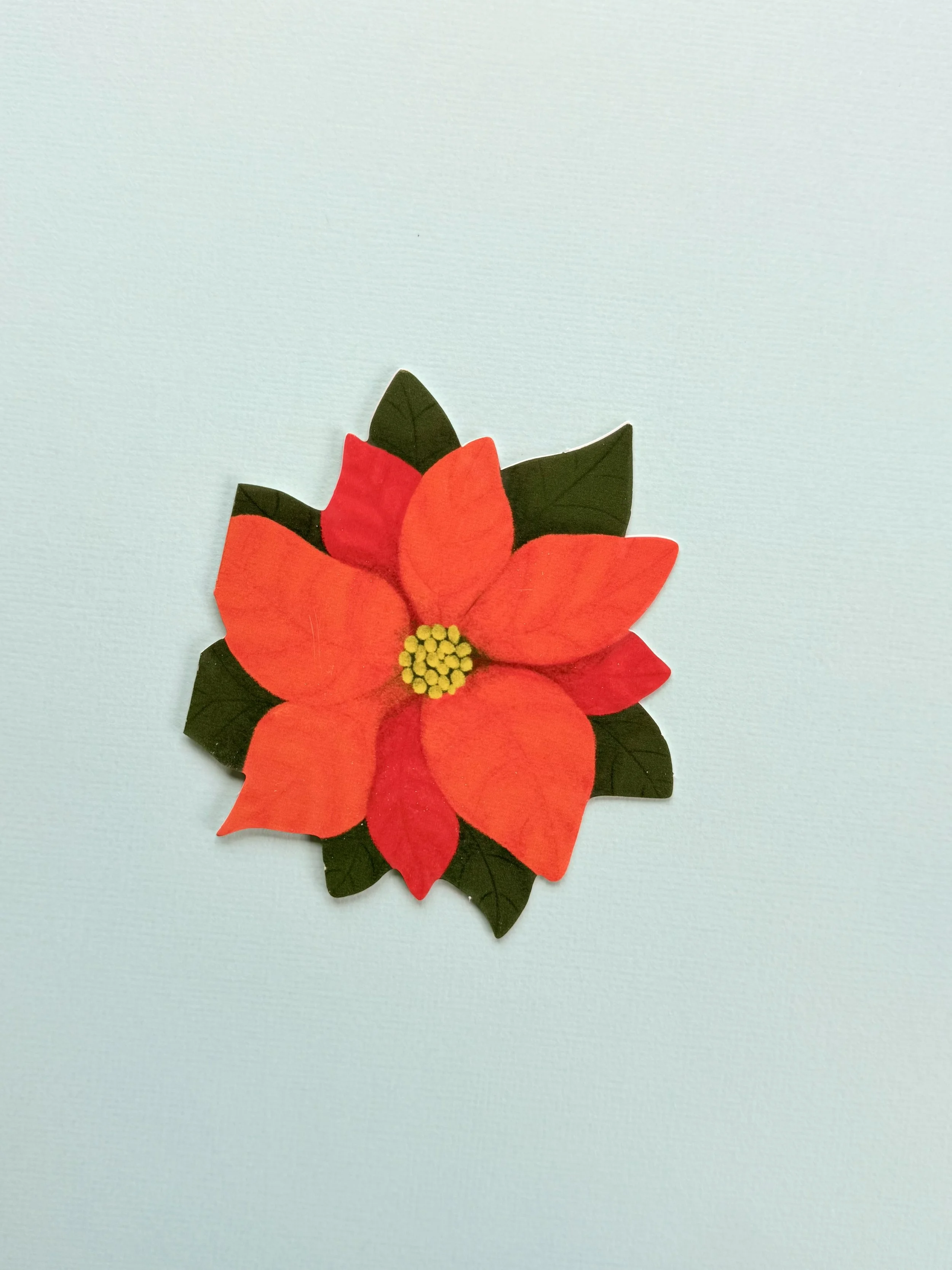 Poinsetta - 1.jpeg