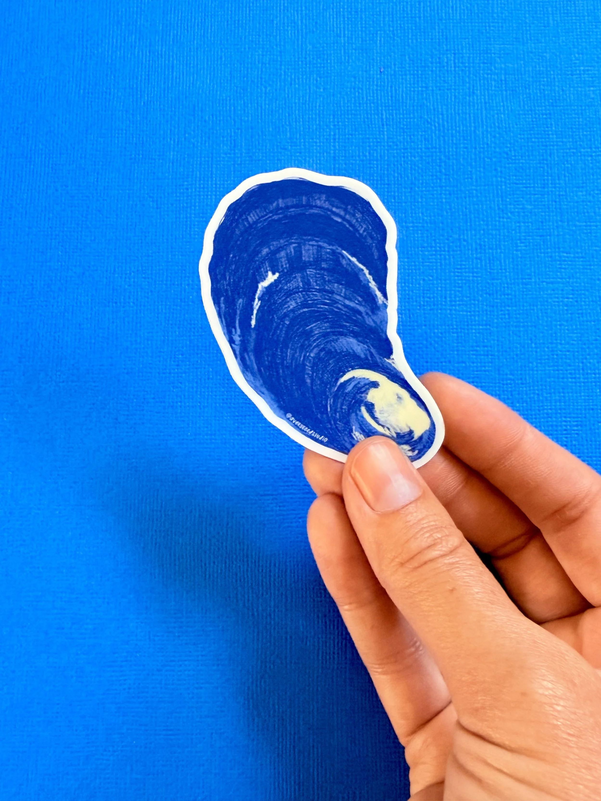 Mussel Shell Die-Cut Sticker