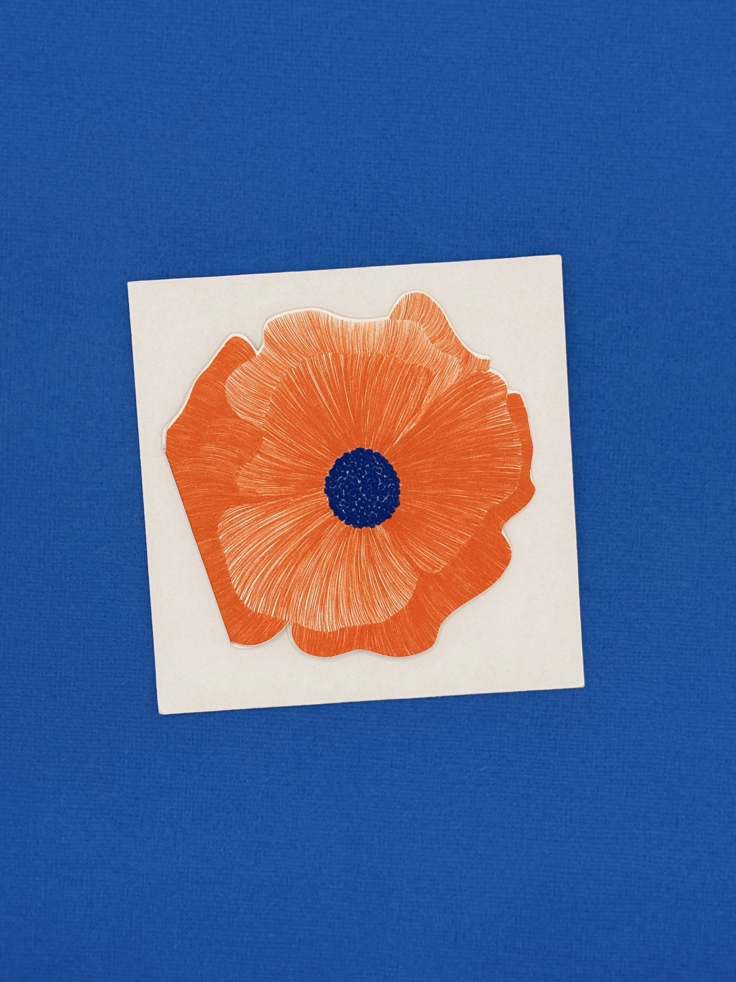 Poppy-square.jpeg