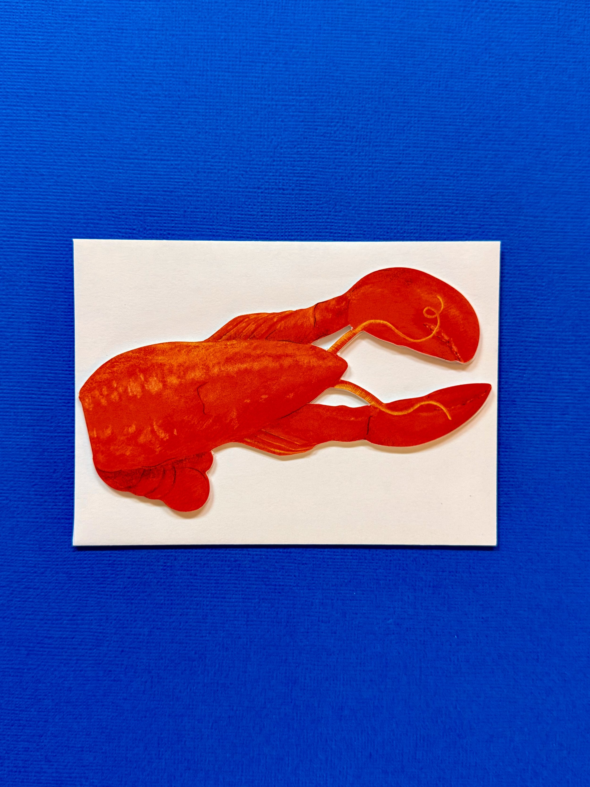 Lobster - 2.jpeg