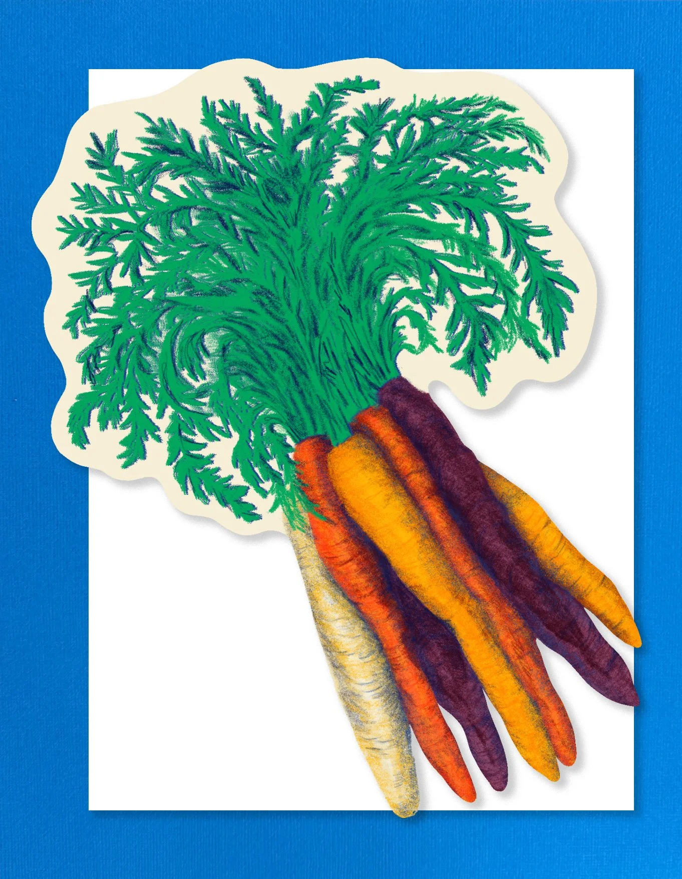 Carrots - shop image 2.jpg