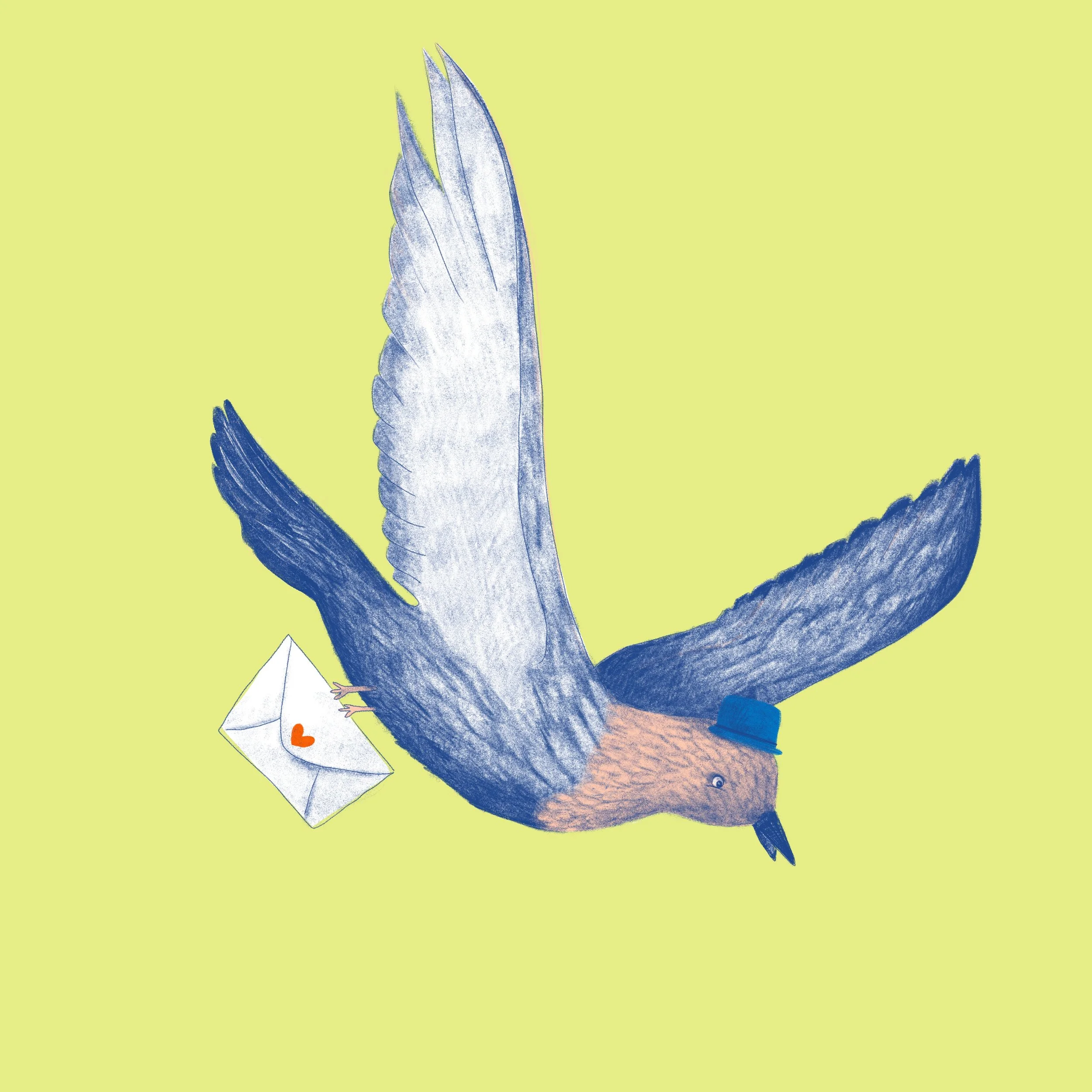 Pigeon carrier.jpg