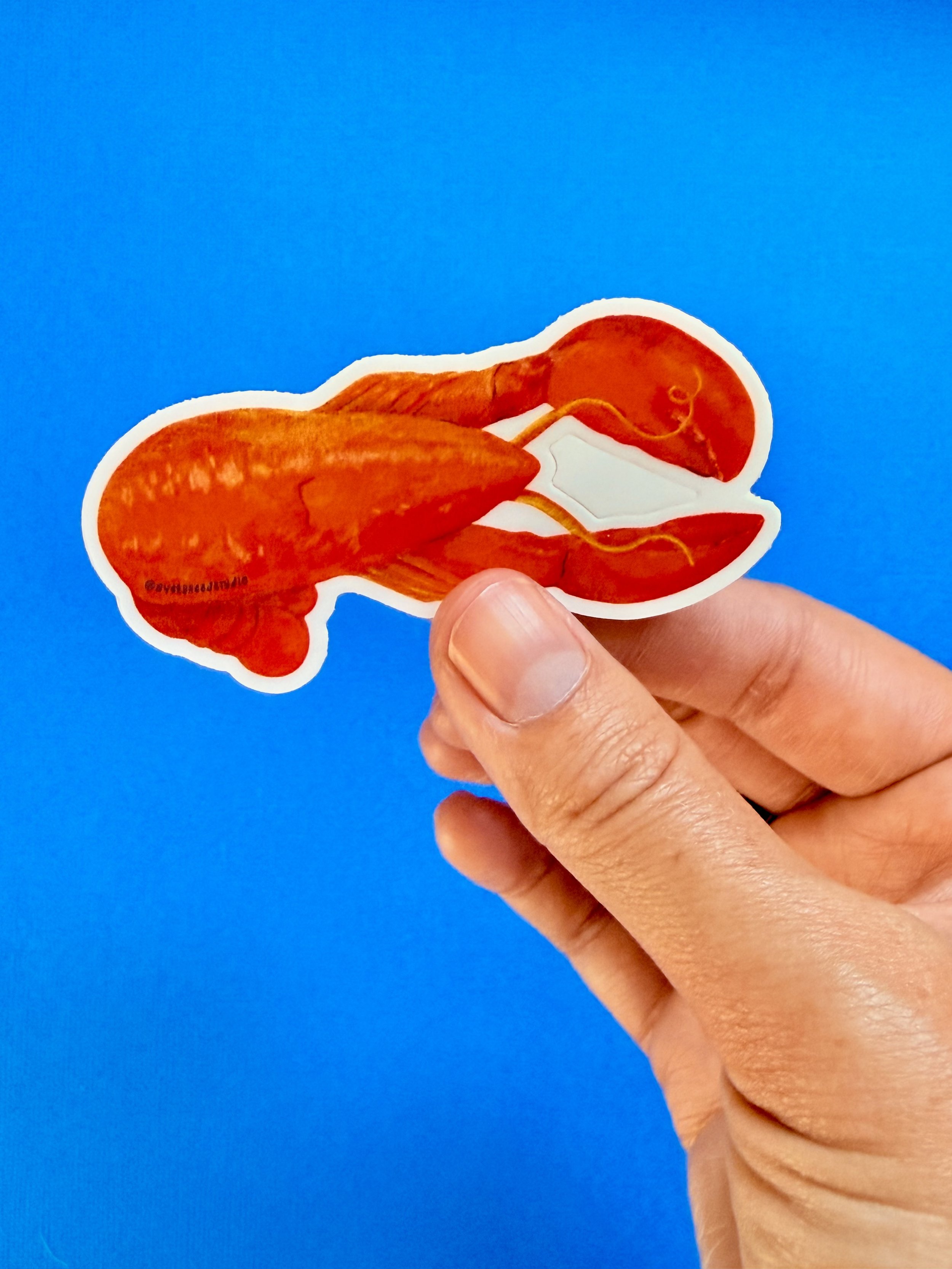 Lobster Die-Cut Sticker