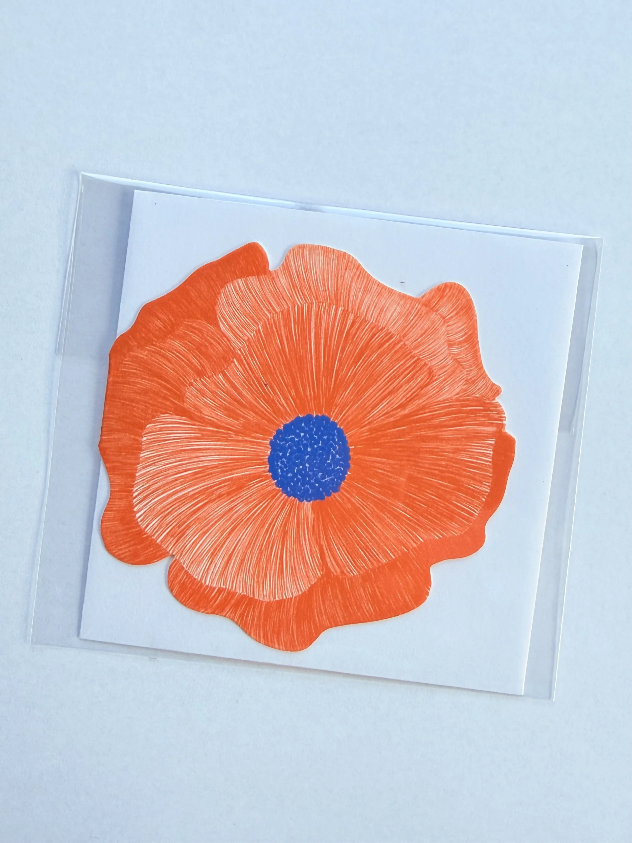 Poppy wrapped.jpeg