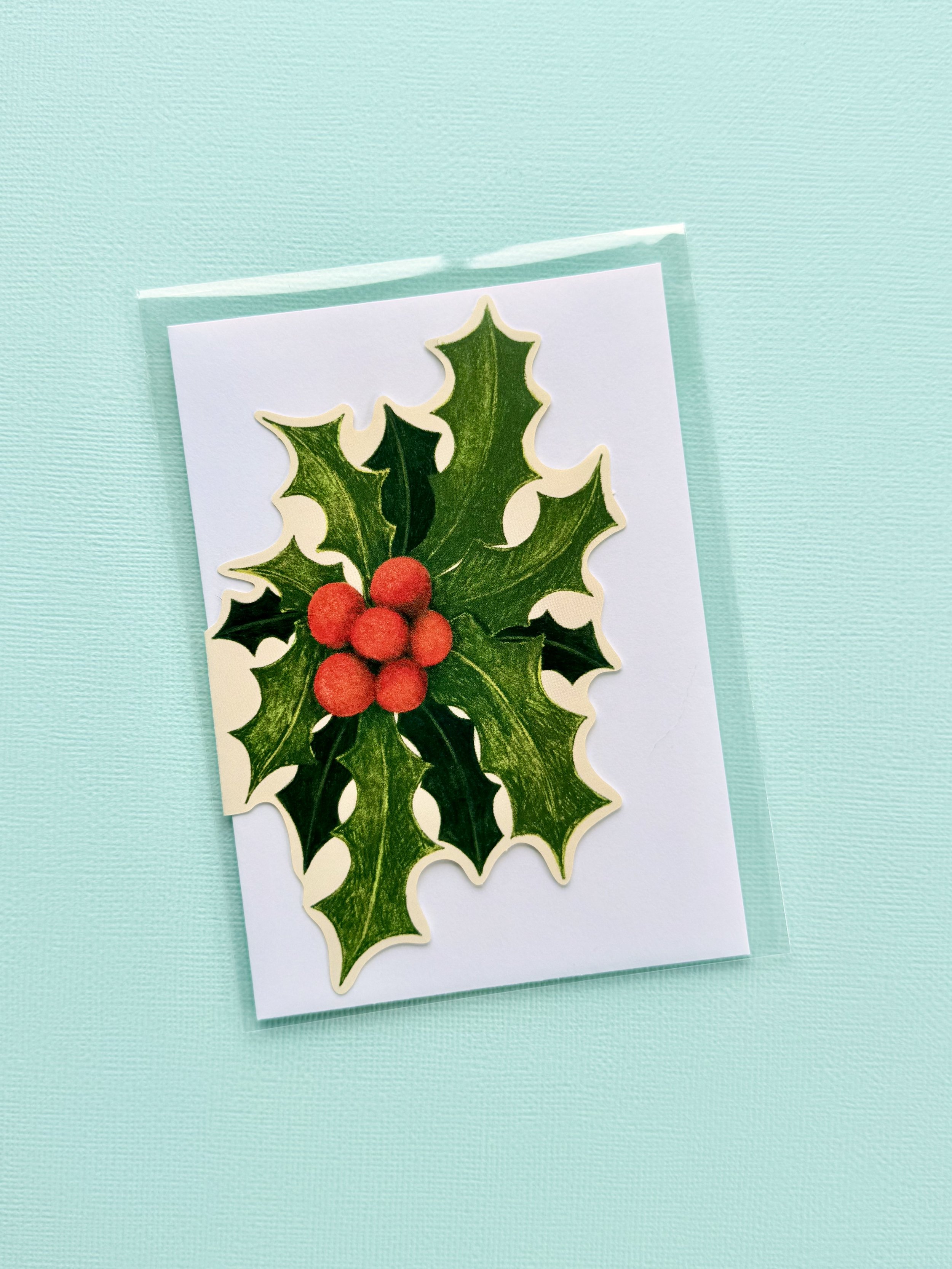 Holly - packaged.jpeg