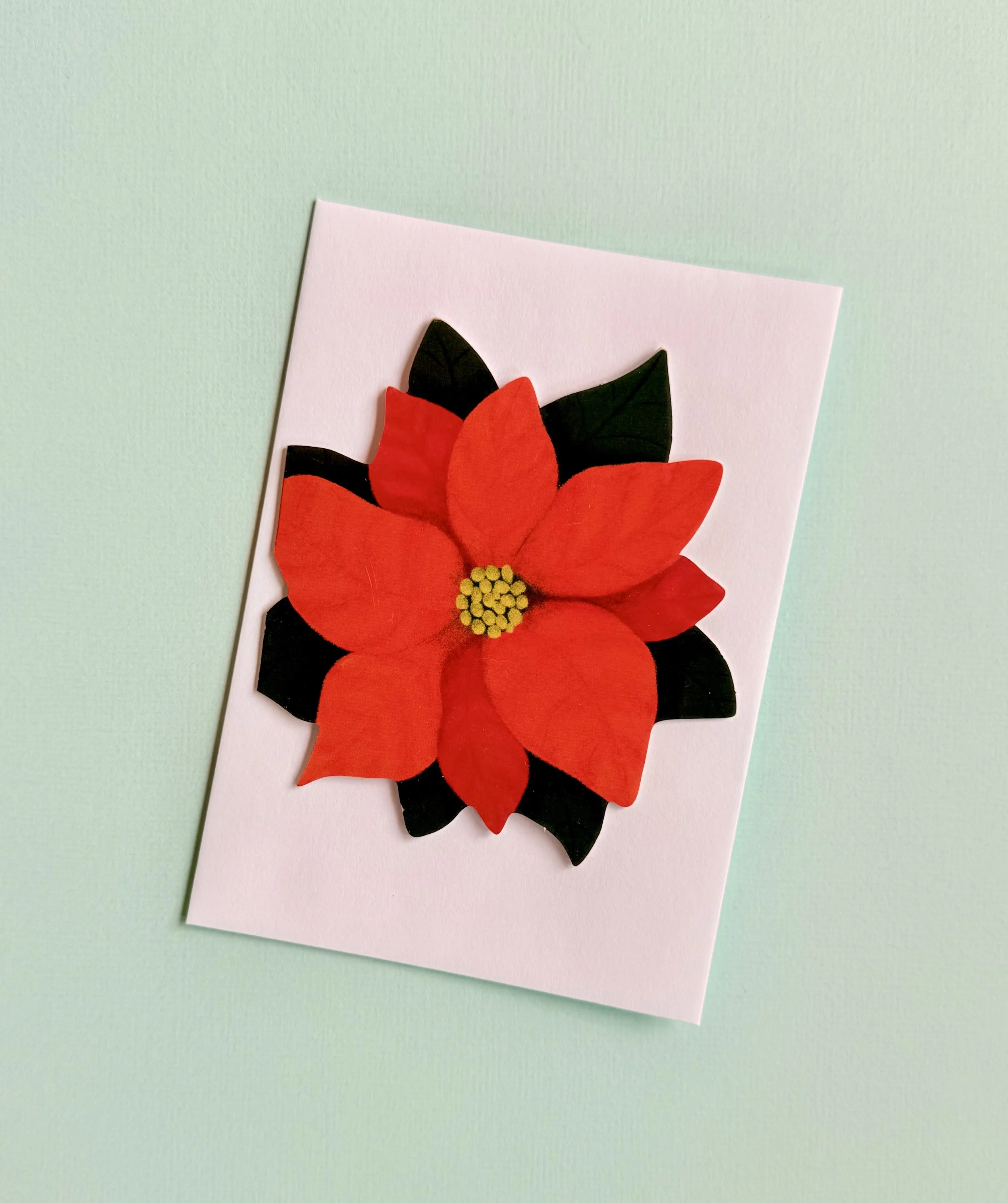 Poinsetta - 3.jpeg