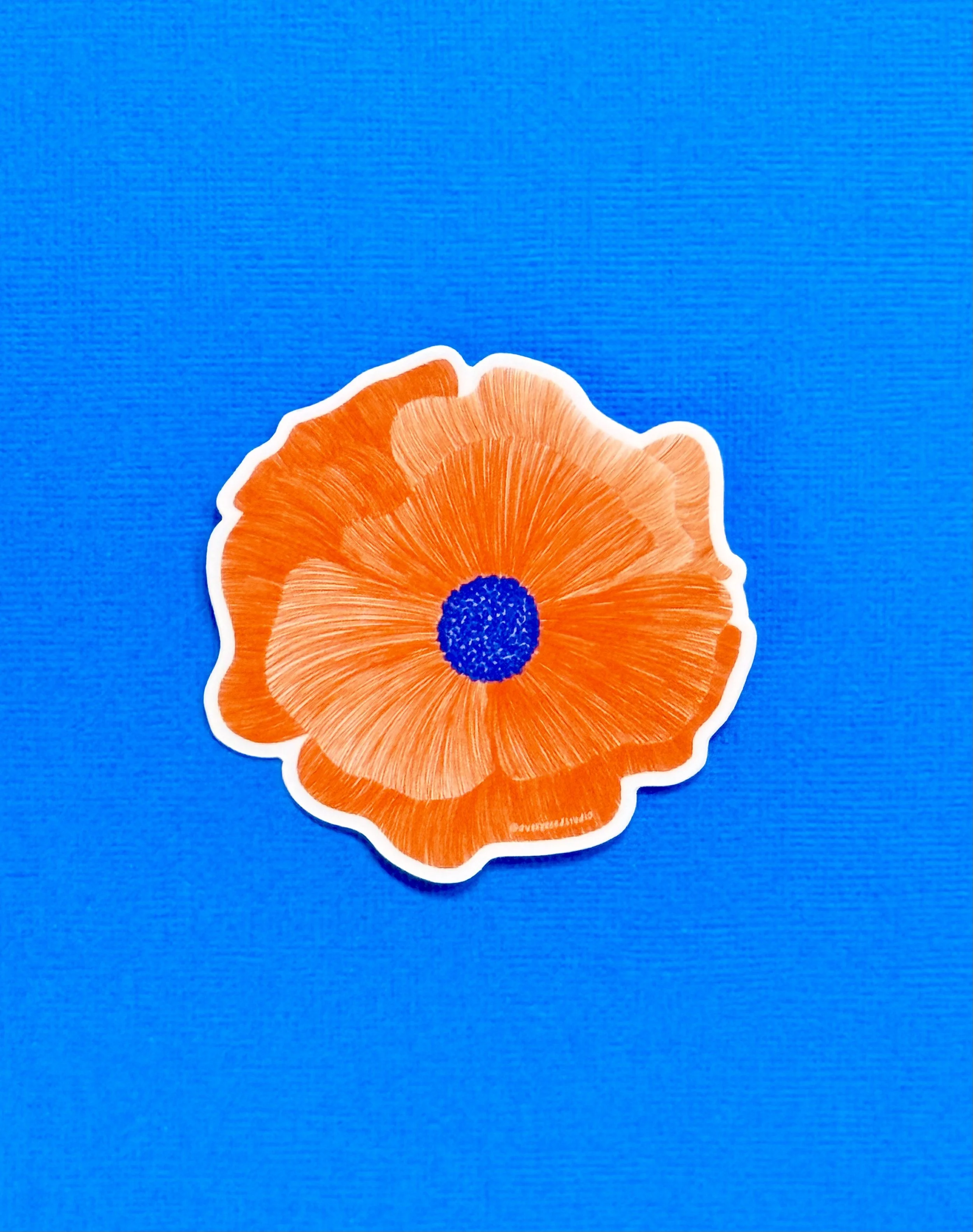 Poppy 1.jpeg
