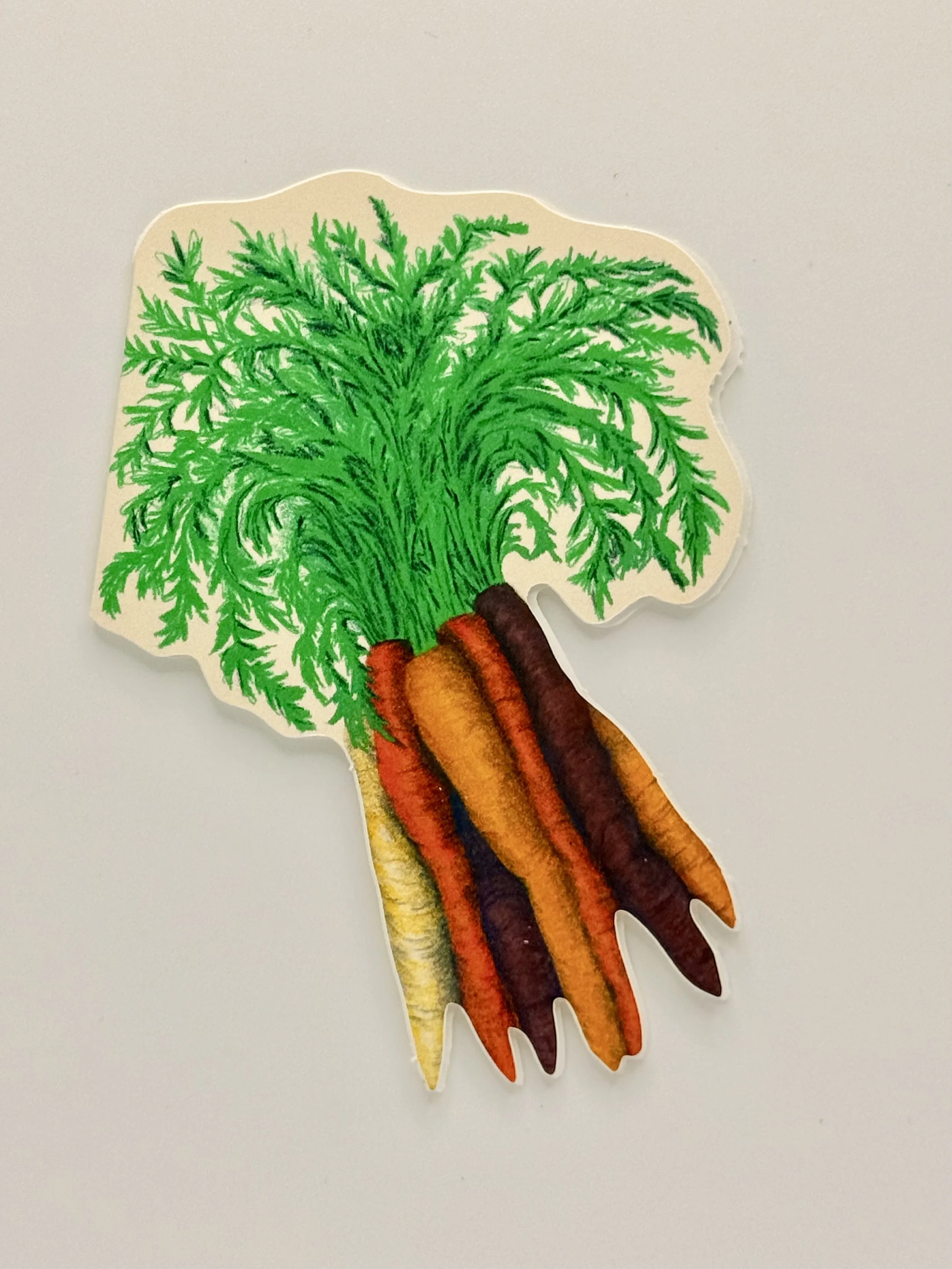 Carrot - white.jpeg