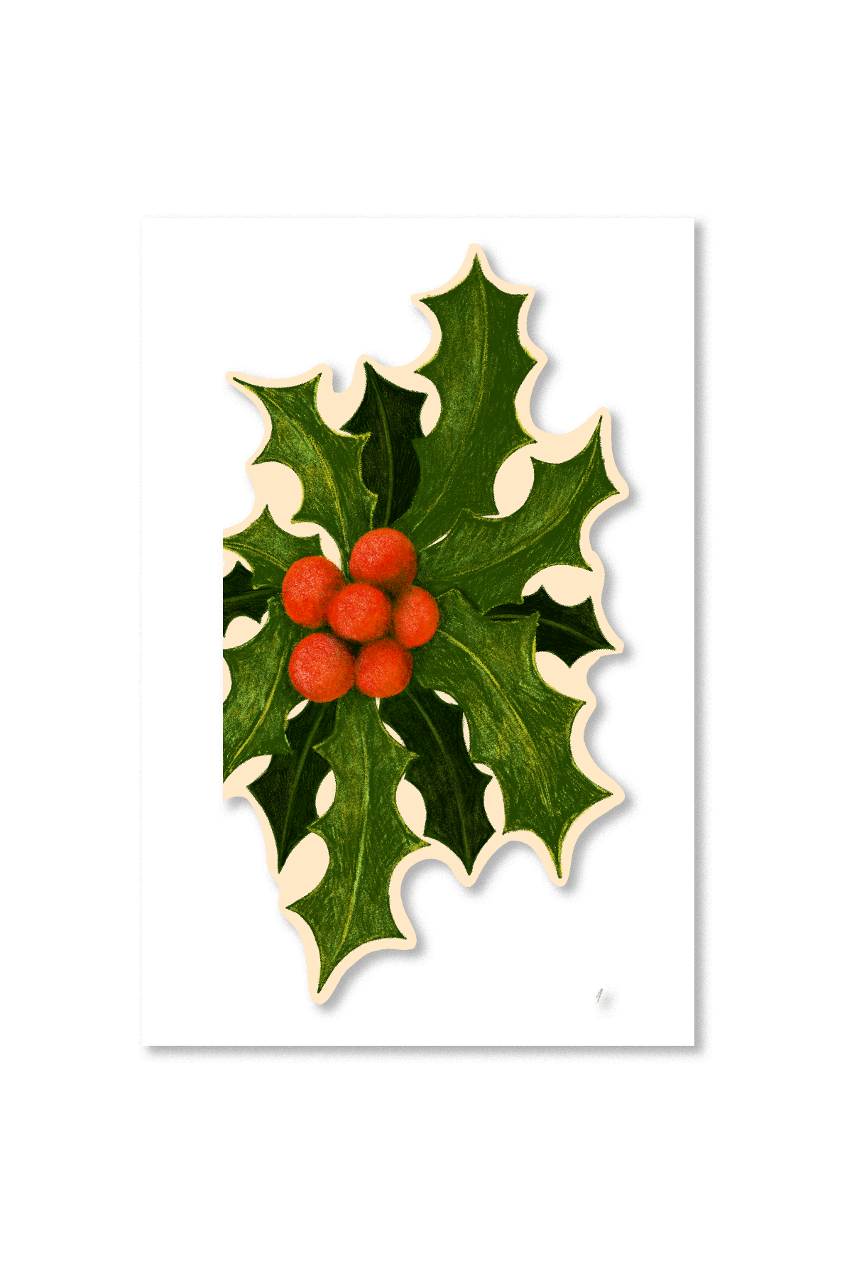 Holly-Shop Image.png