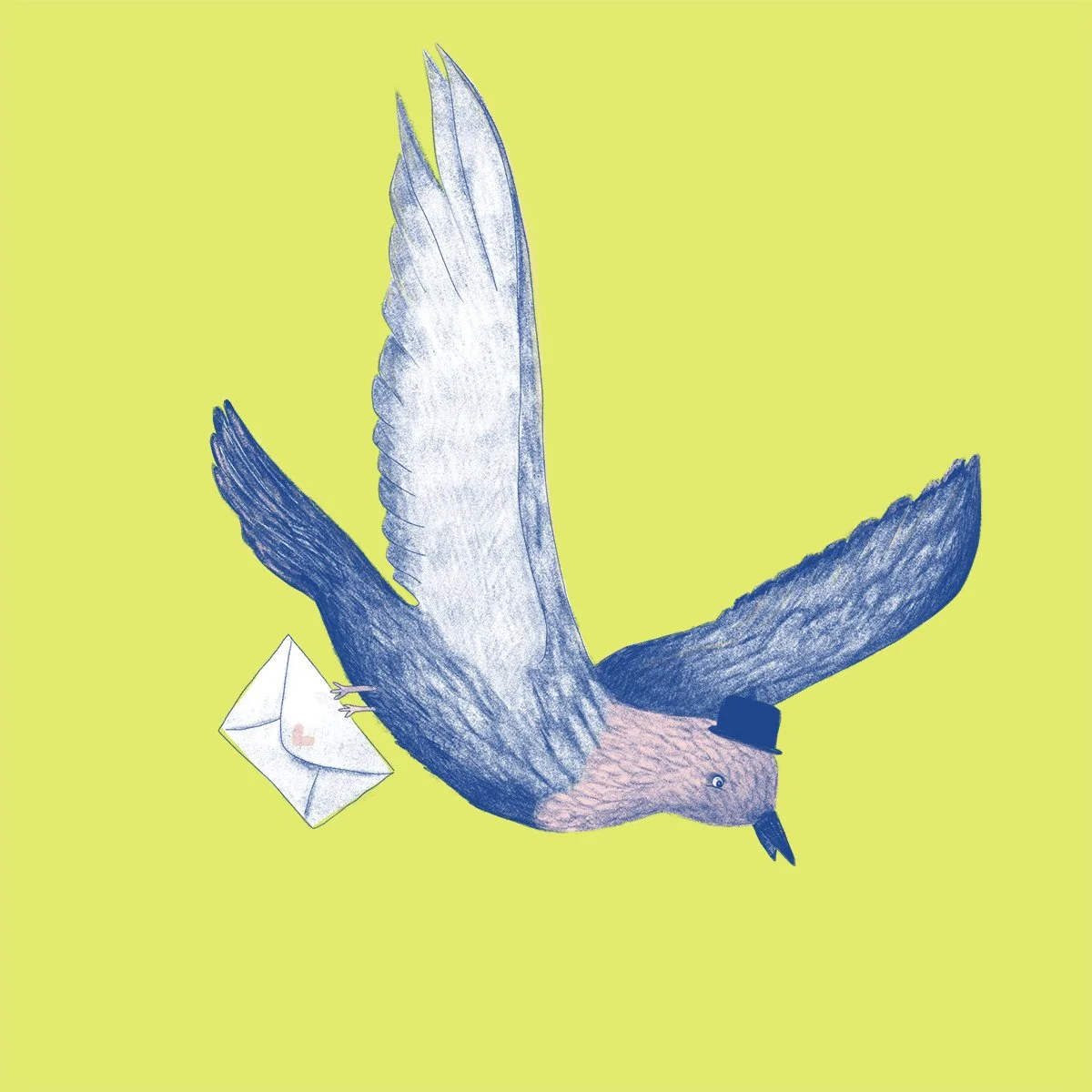 pigeon carrier-shop image.jpg