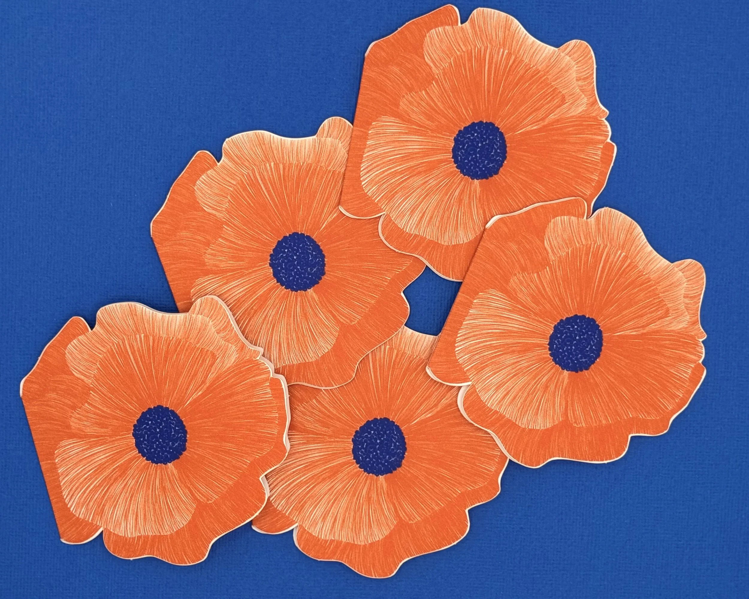 poppy multiple.jpeg