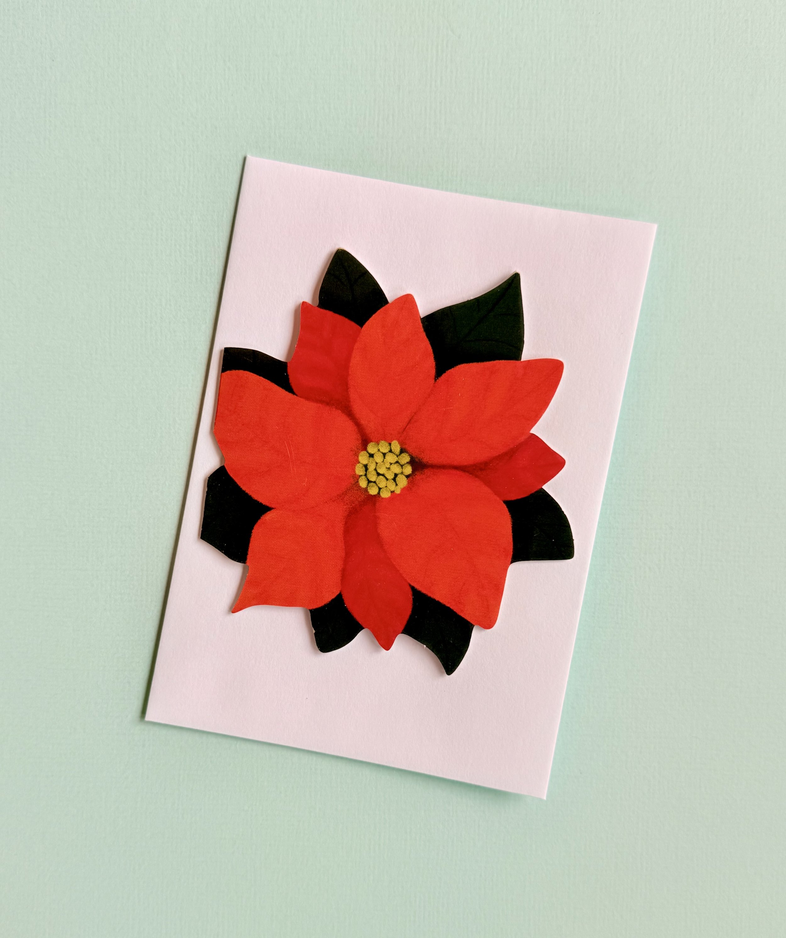Poinsetta - 3.jpeg