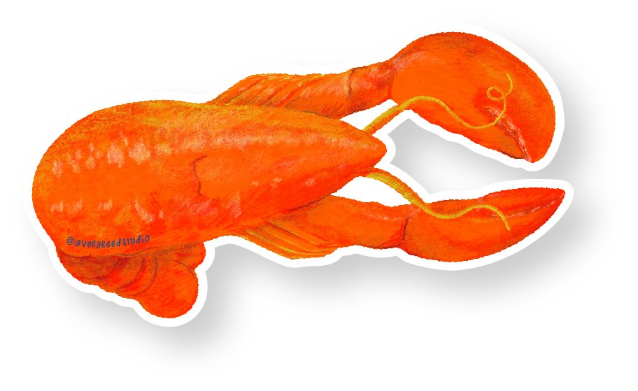 Lobster Sticker - shop image.jpg