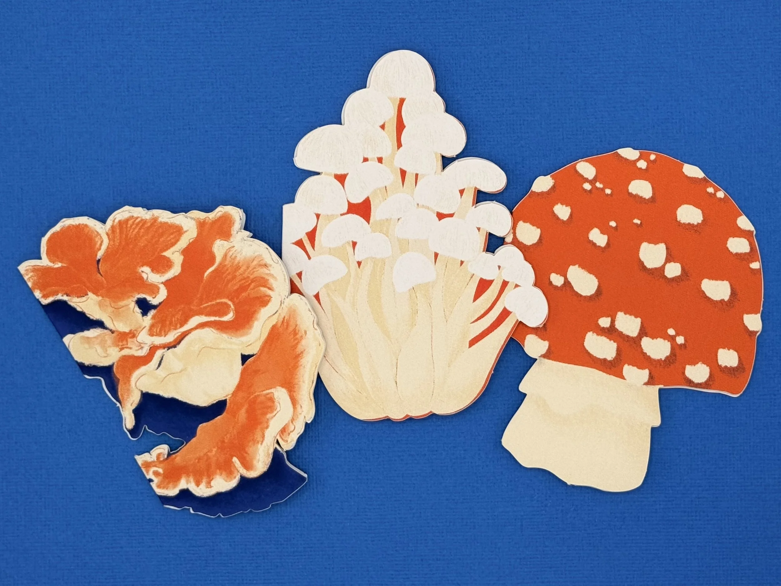 IMG_6909 copy.jpg (Copy) (Copy)