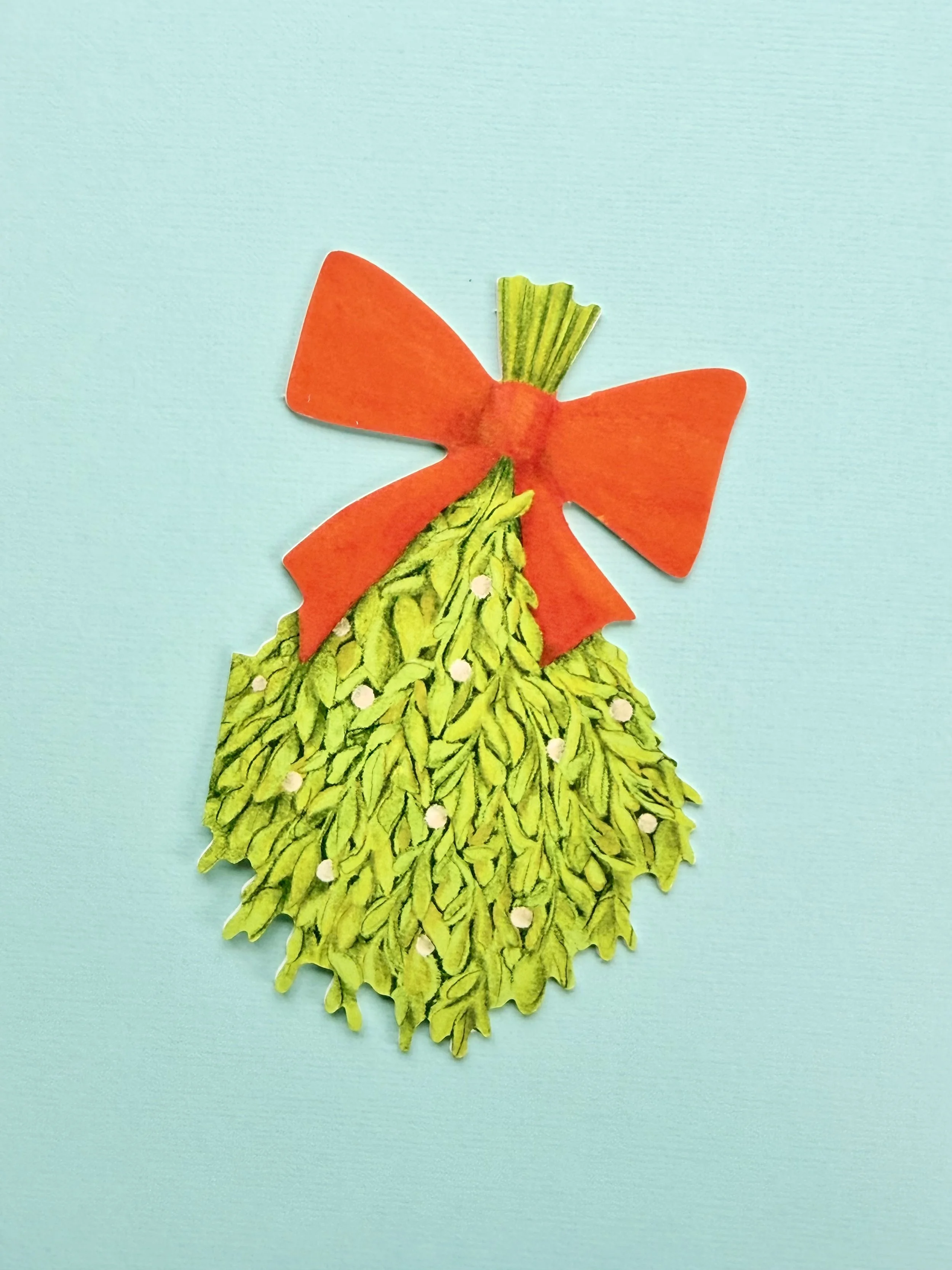 Mistletoe - 1.jpeg