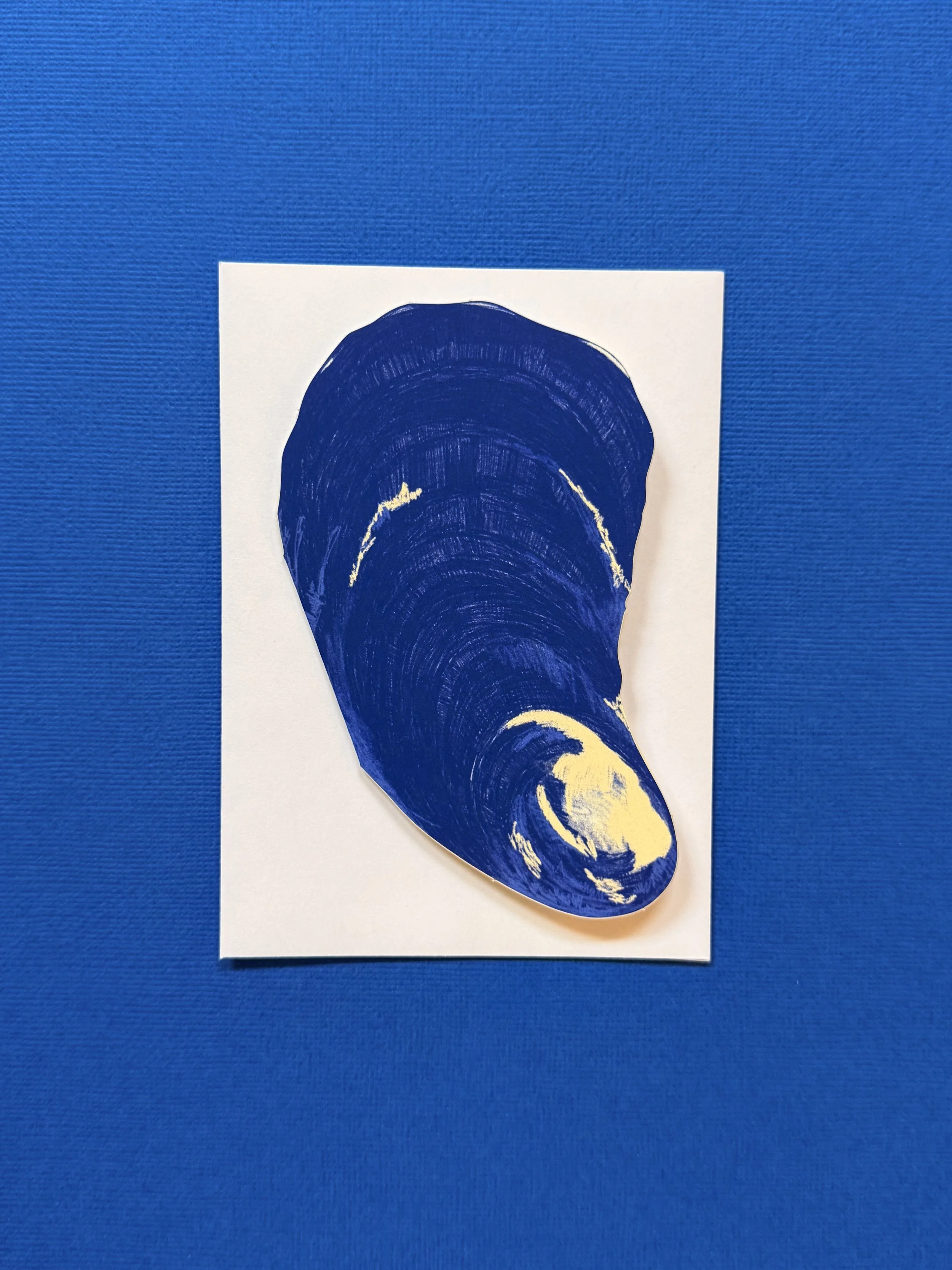 Mussel - 2.jpeg